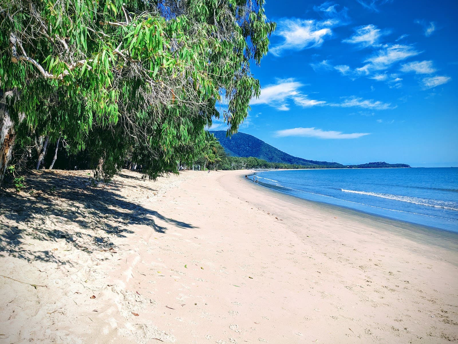 Pelican Park Esplanade Reserve — Palm Cove, Cairns