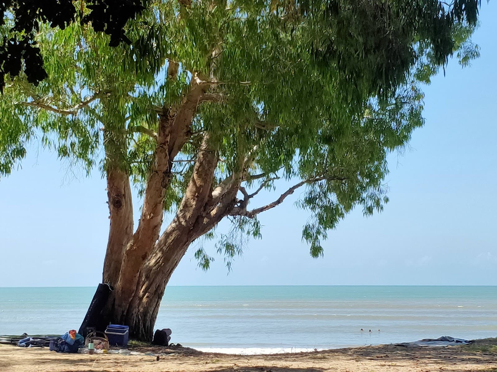 Pelican Park Esplanade Reserve — Palm Cove, Cairns