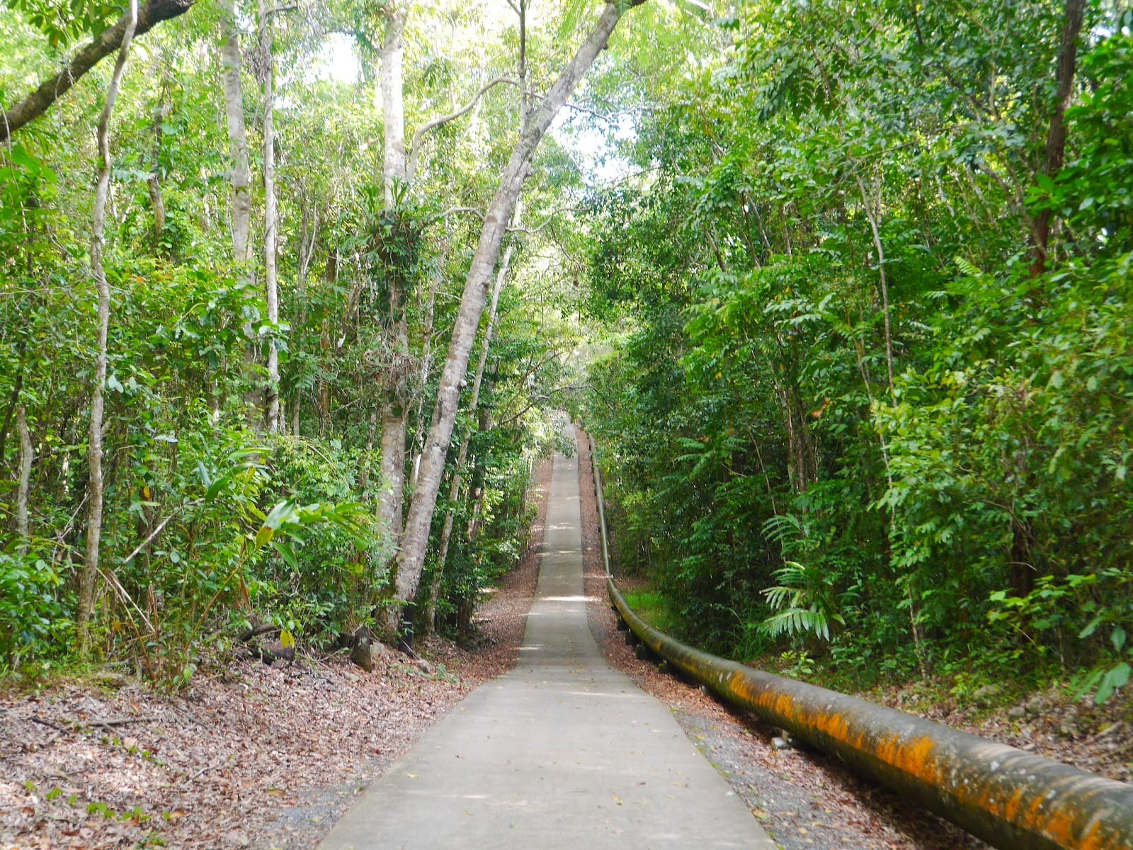 Behana Gorge Walking Track — Palm Cove, Cairns