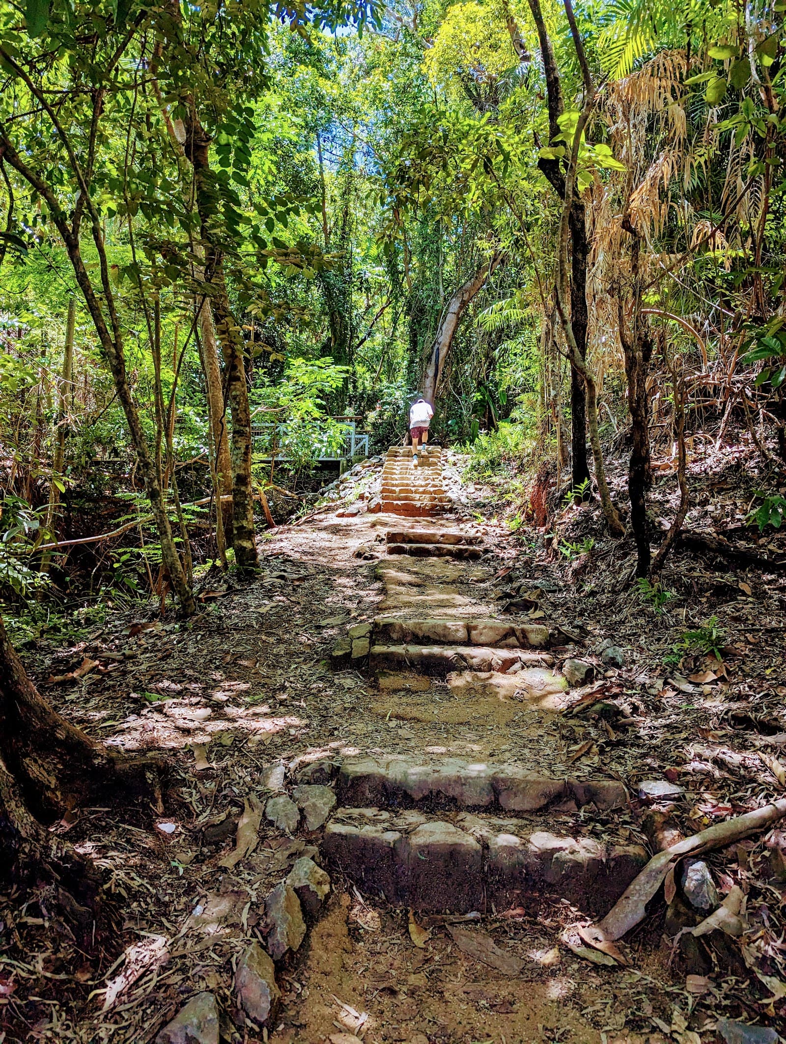 Four Mile Beach Cliff Walk Port Douglas — Port Douglas, Cairns
