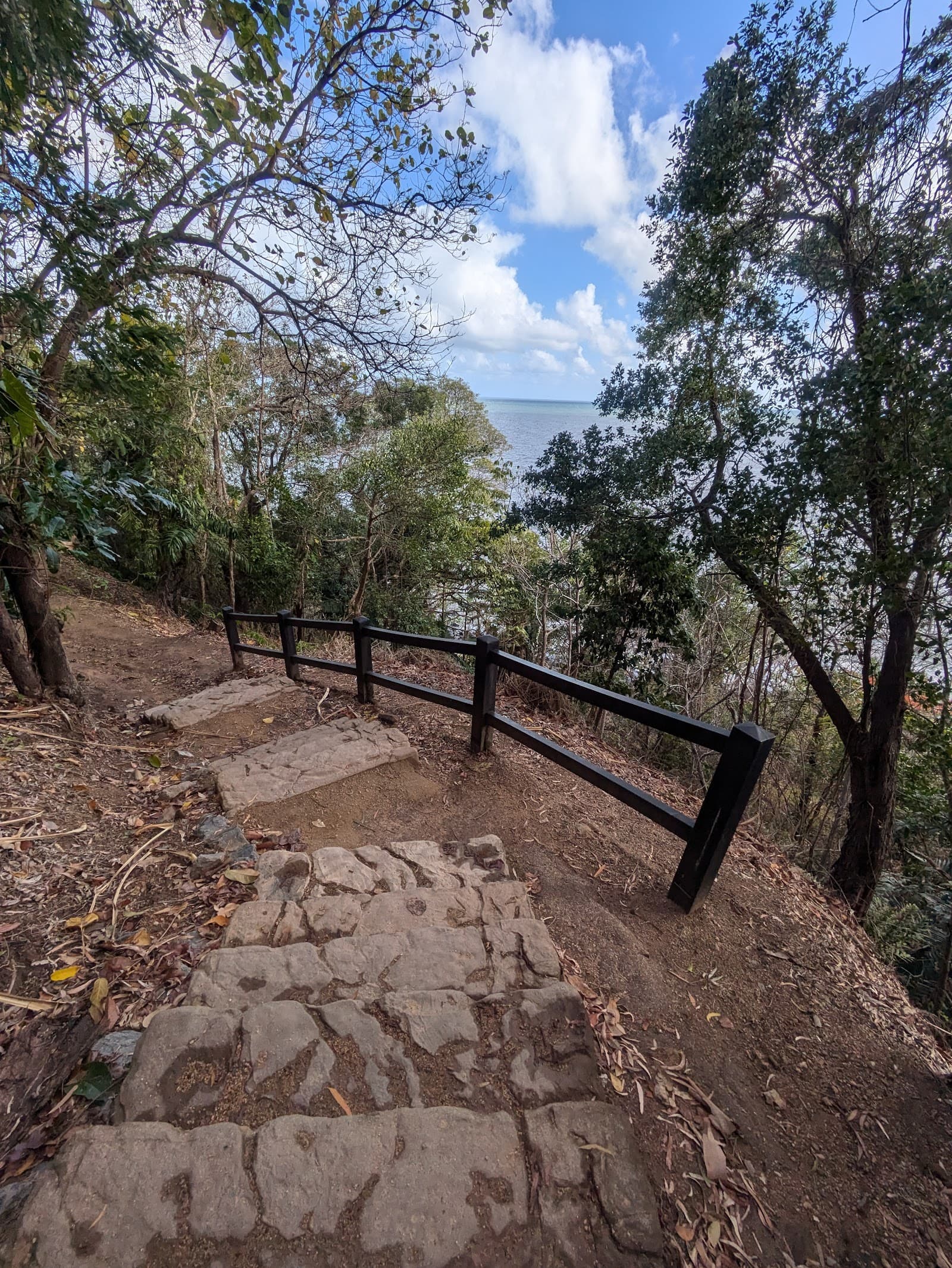 Flagstaff Hill Walking Trail — Port Douglas, Cairns