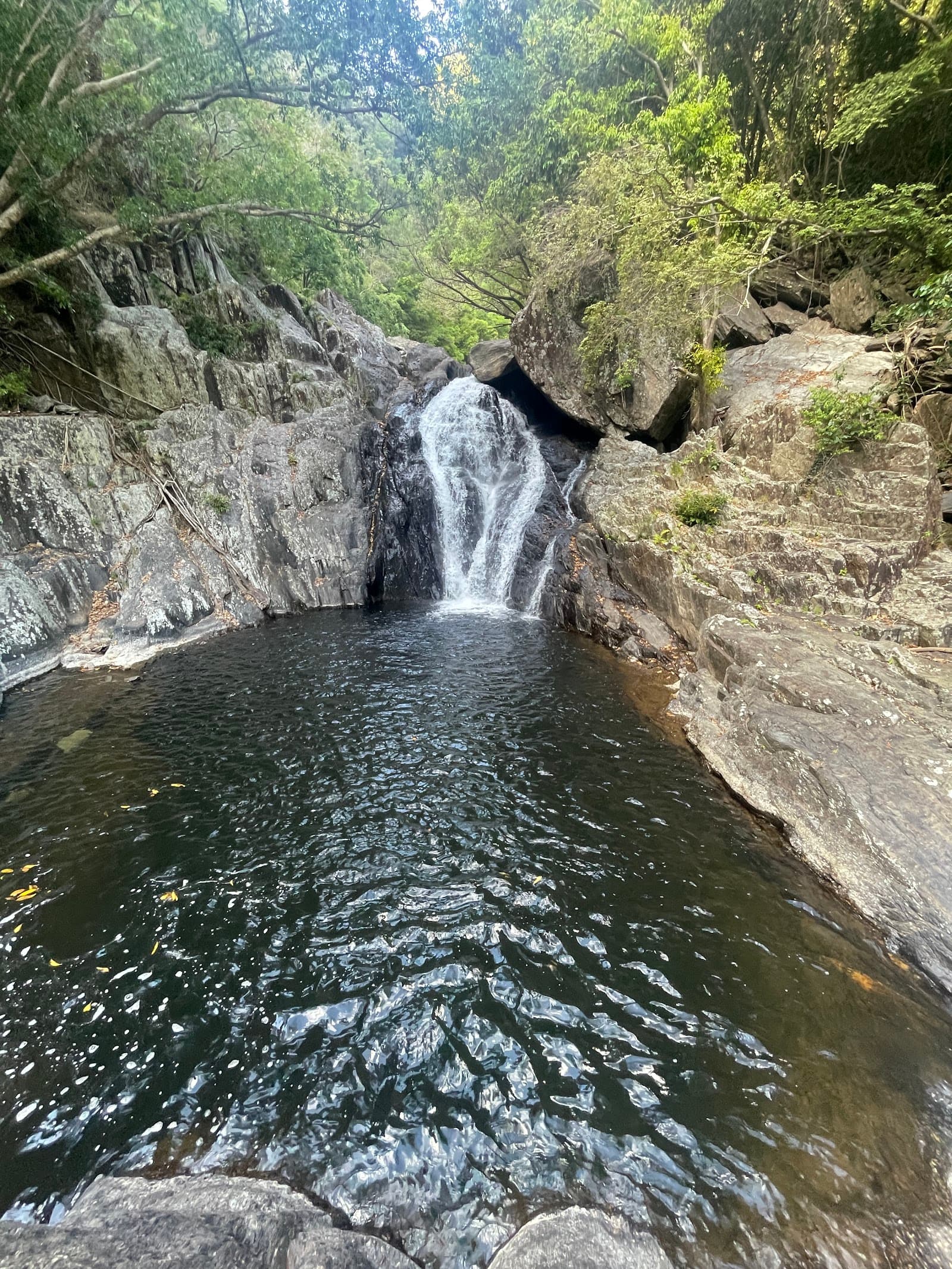 Spring Creek Falls Trailhead — Port Douglas, Cairns