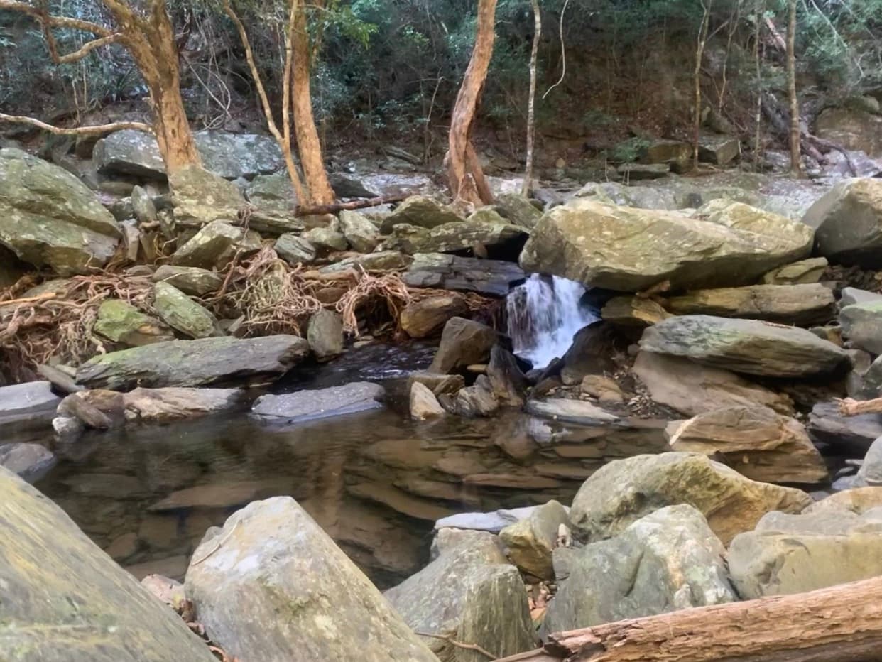 Spring Creek Falls Trailhead — Port Douglas, Cairns