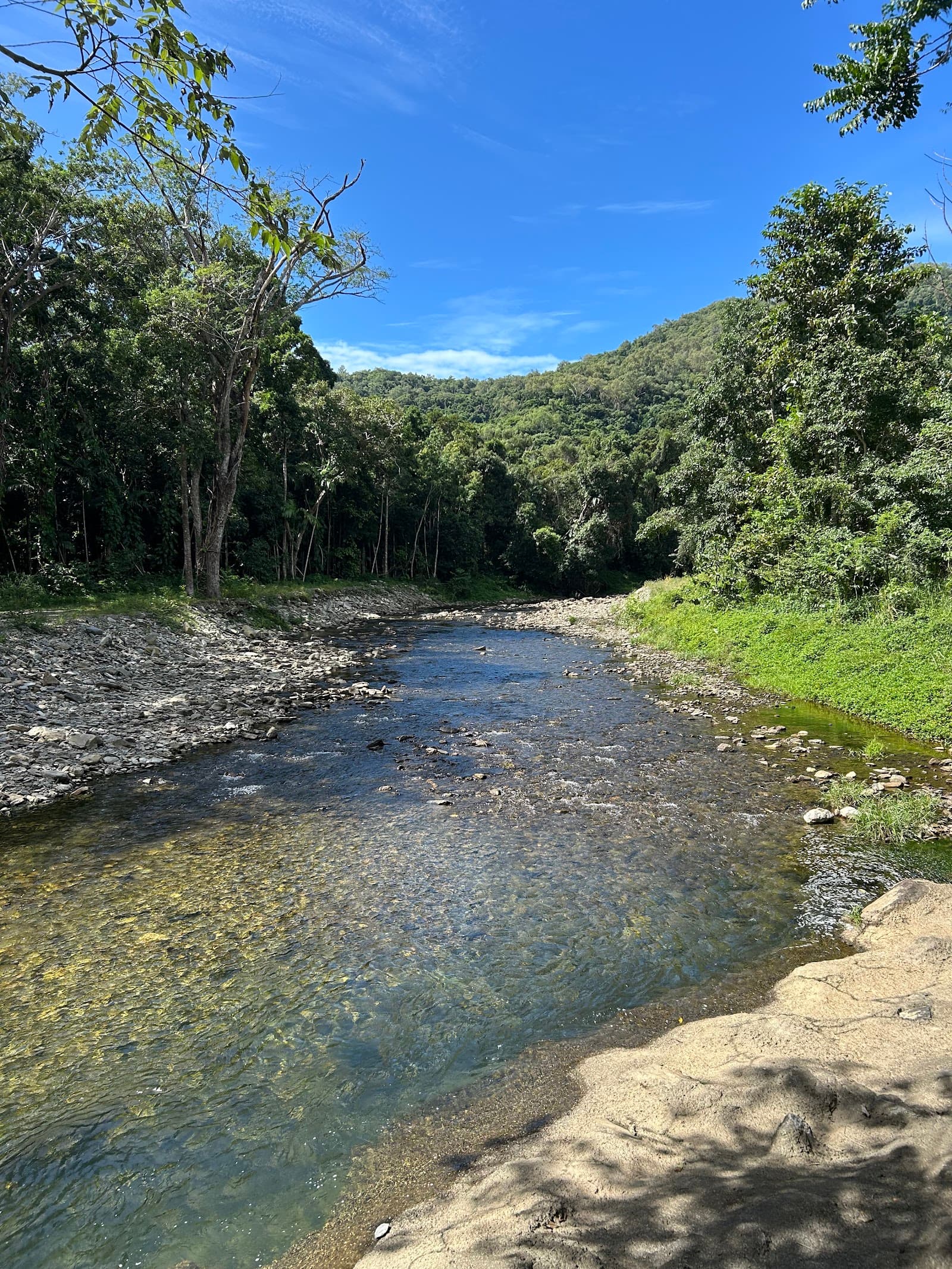 Spring Creek Falls Trailhead — Port Douglas, Cairns