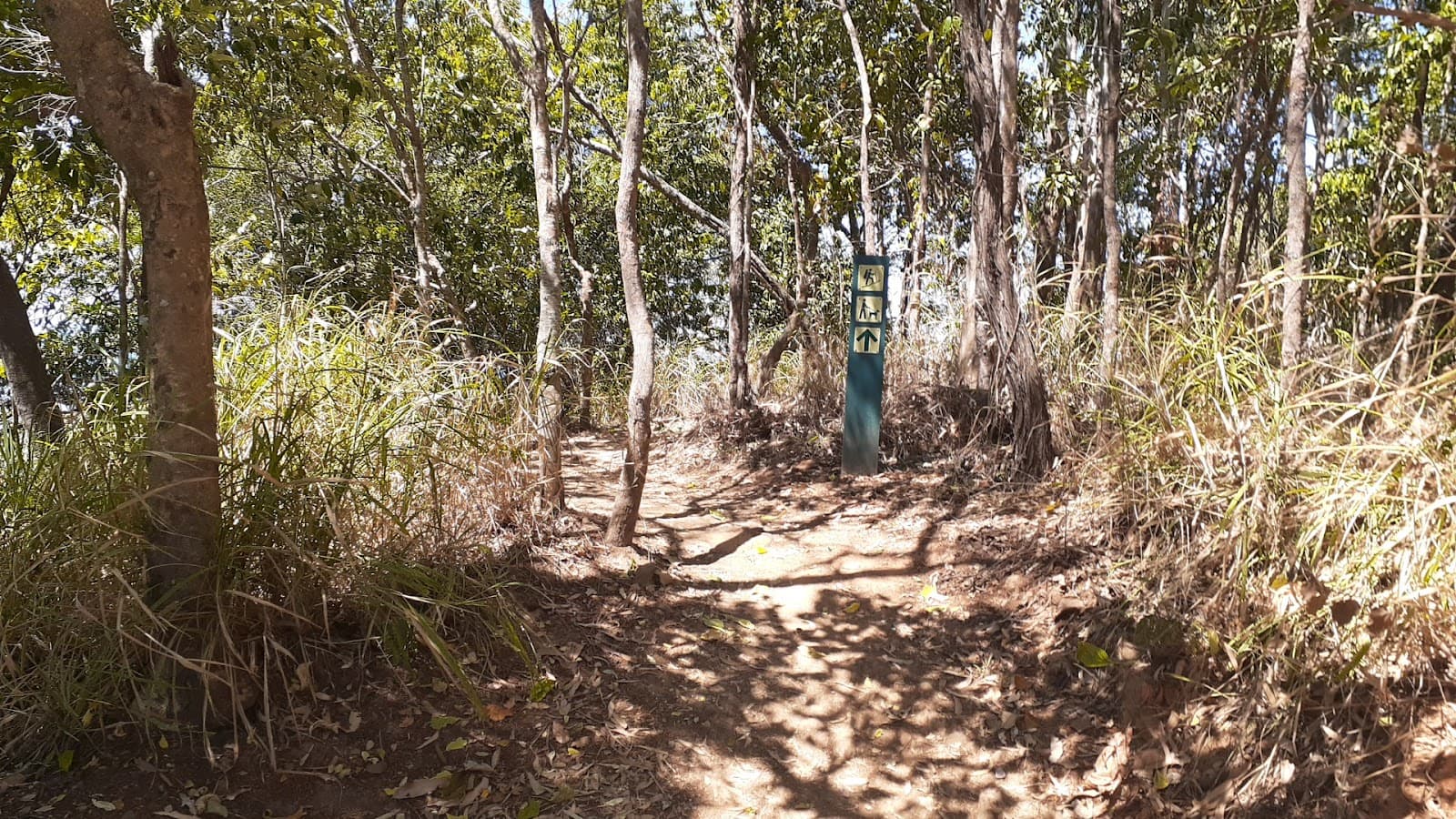 Earl Hill Summit — Yorkeys Knob, Cairns