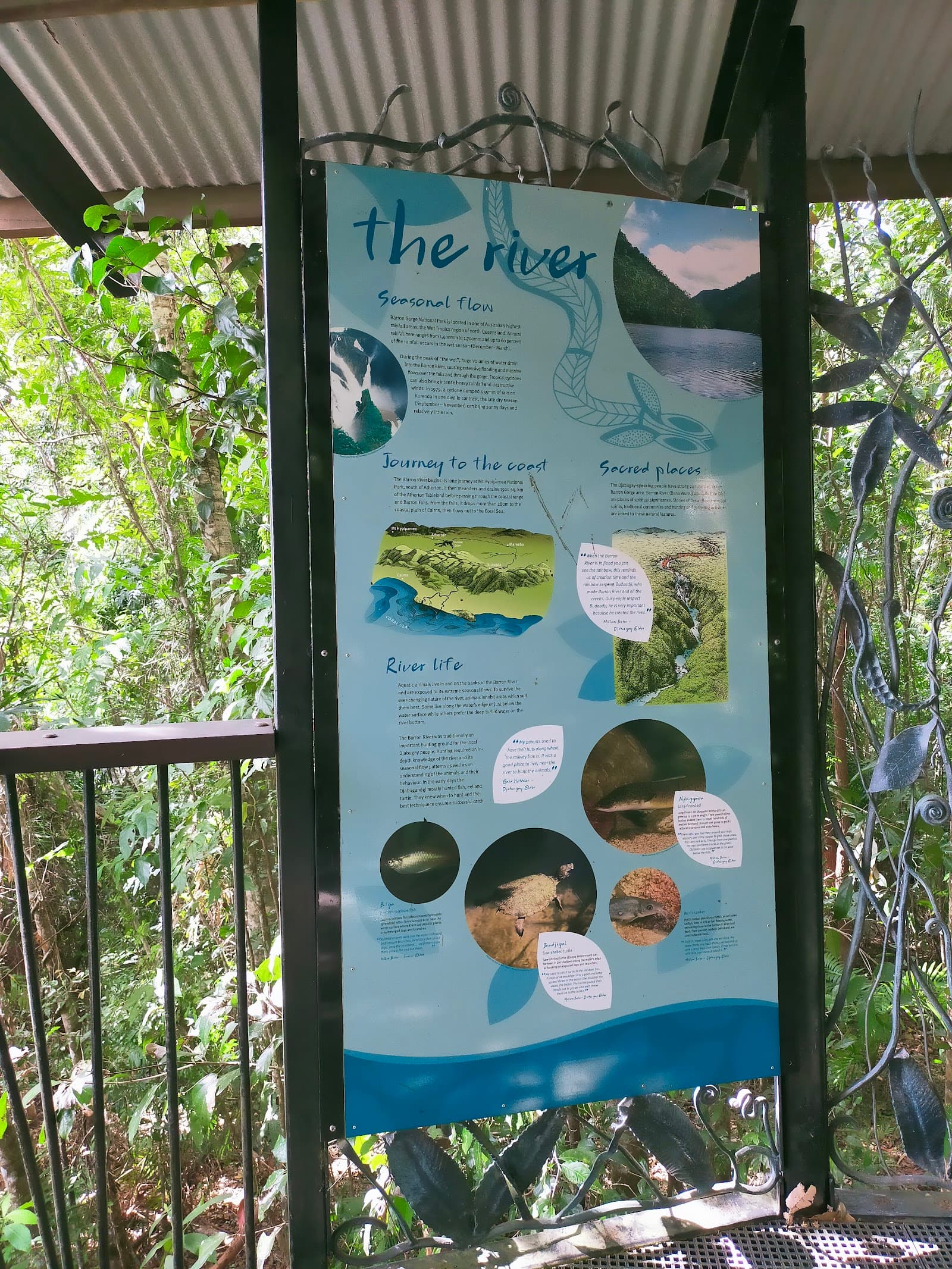 Upper Falls Lookout — Kuranda, Cairns