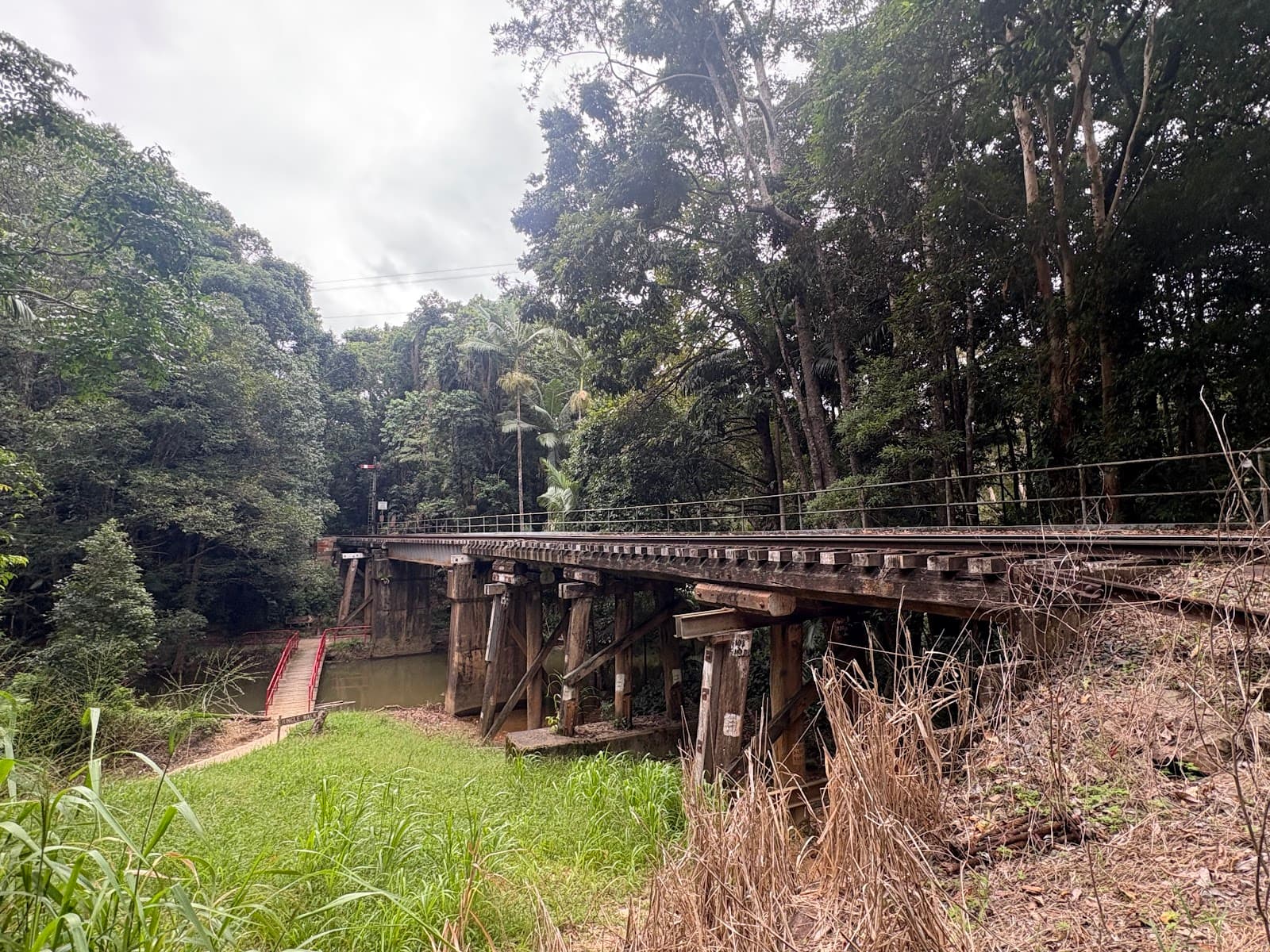 The River Walk — Kuranda, Cairns
