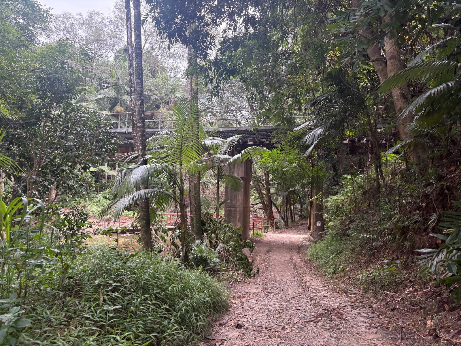 The River Walk — Kuranda, Cairns