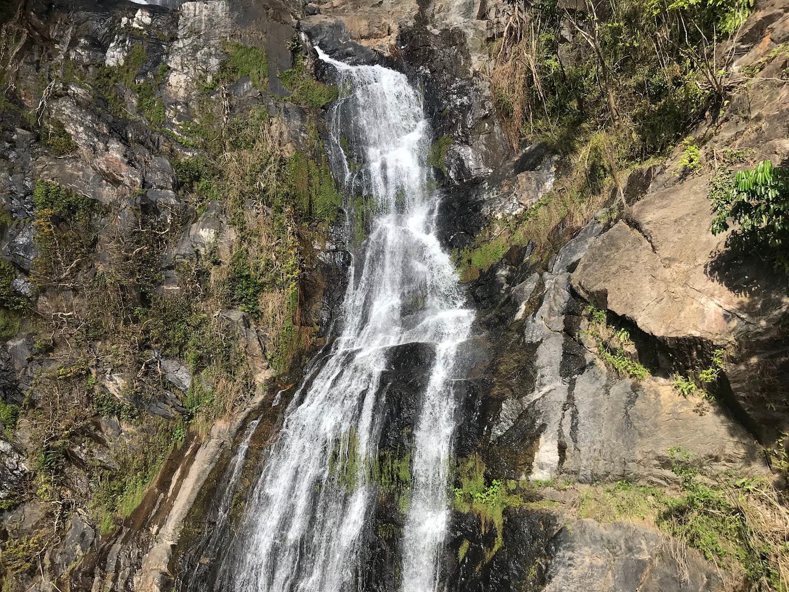 Kuranda Rainforest Tours — Kuranda, Cairns