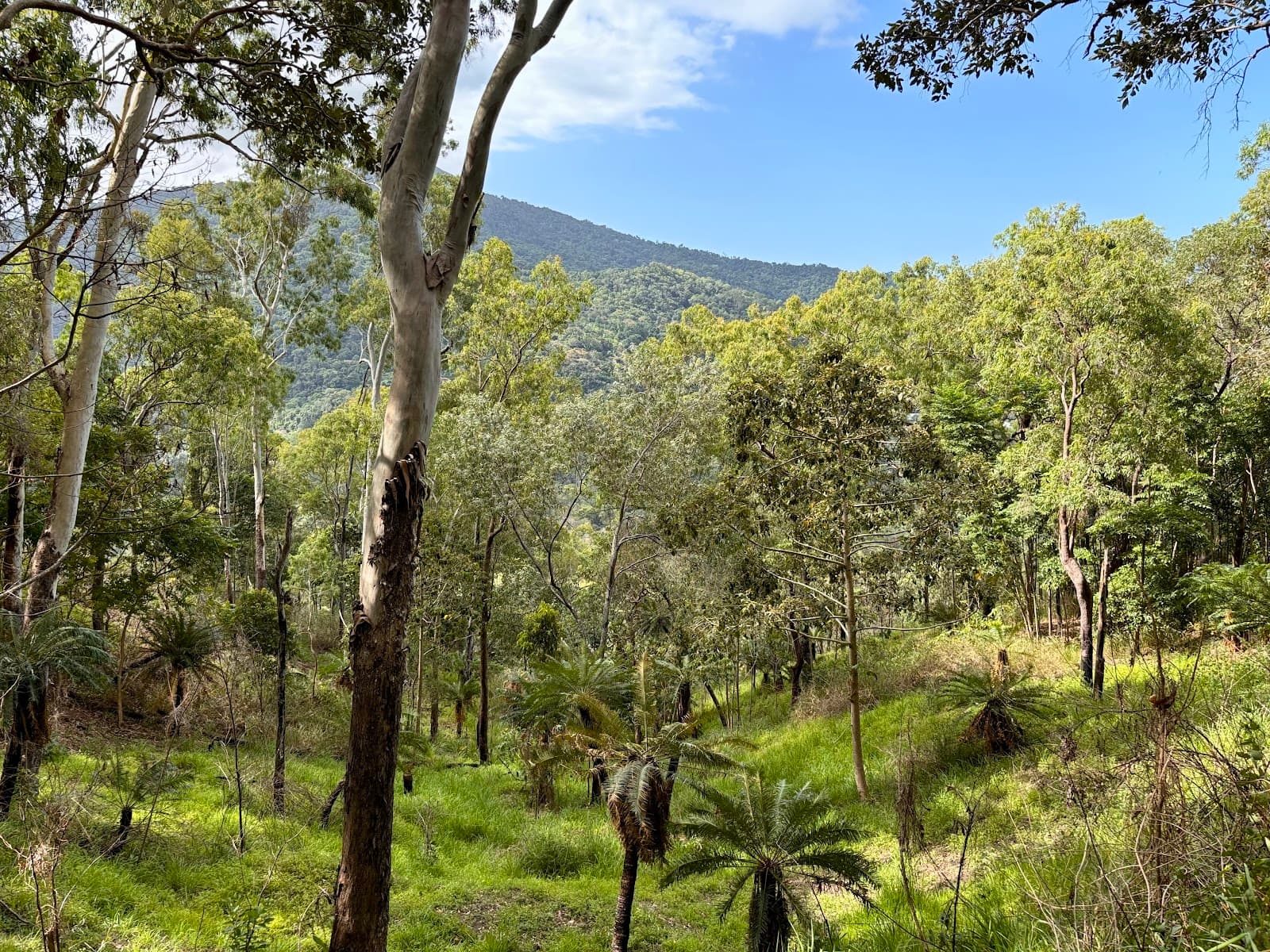 Tobys Lookout — Kuranda, Cairns