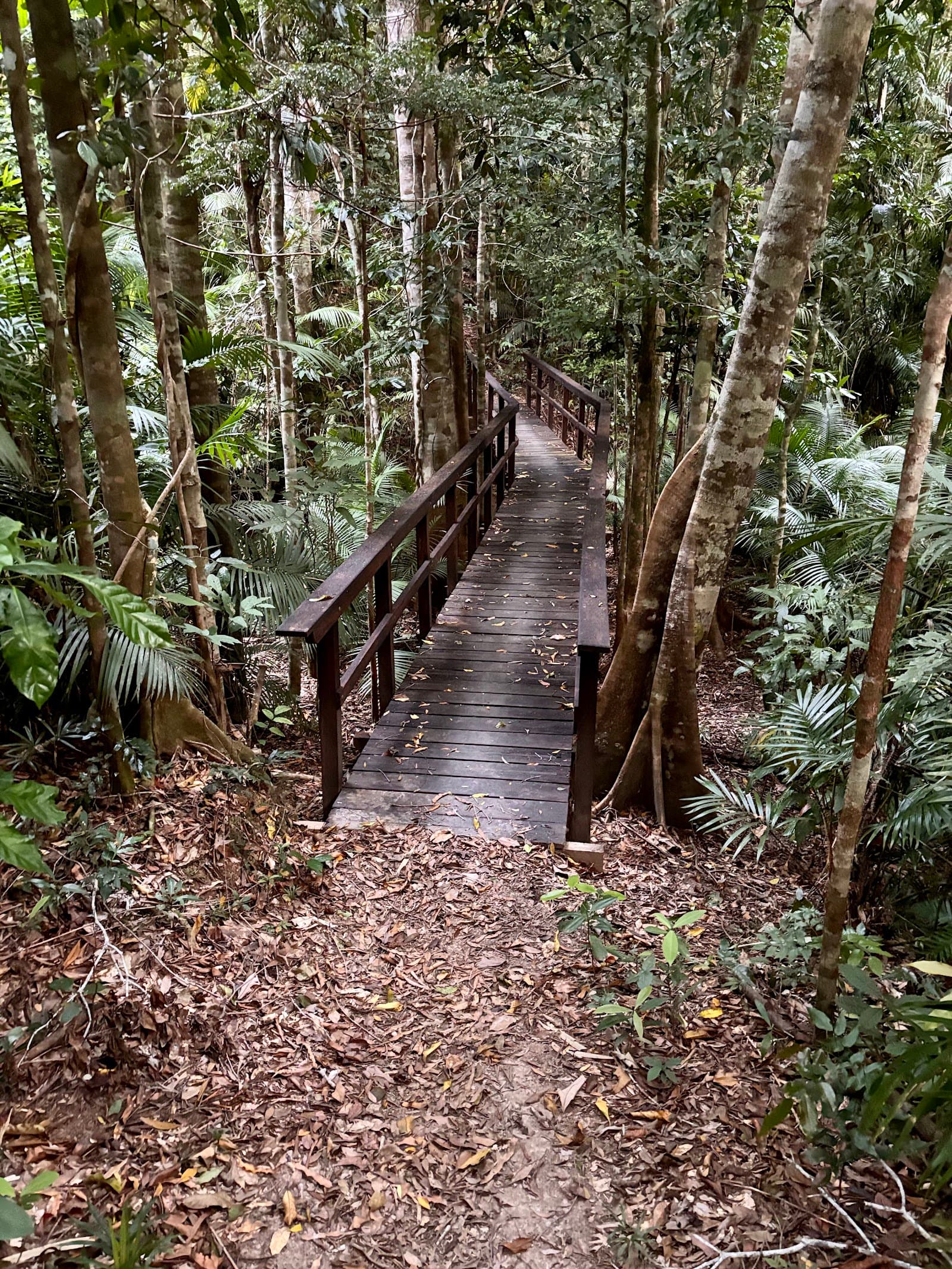Tobys Lookout — Kuranda, Cairns