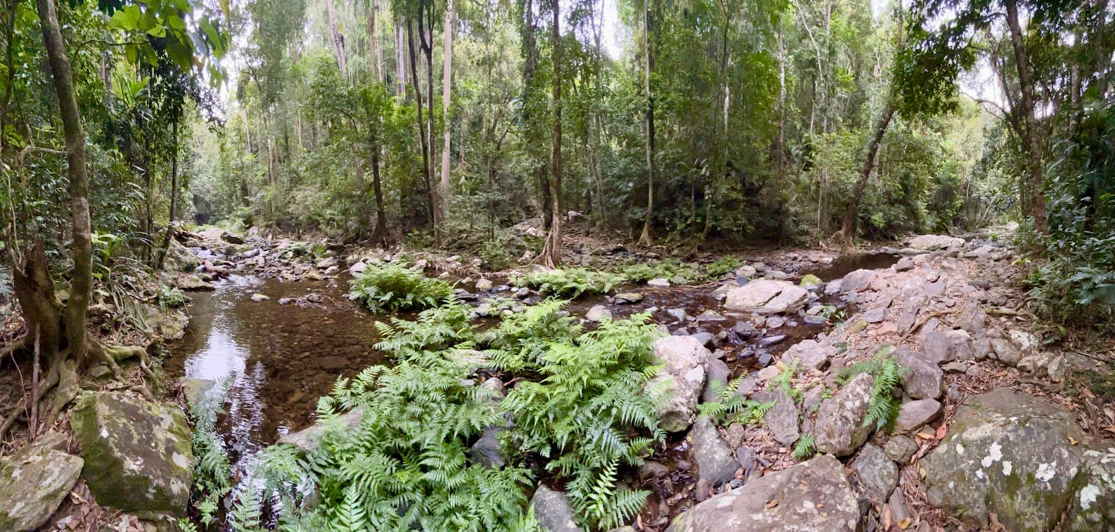 Tobys Lookout — Kuranda, Cairns