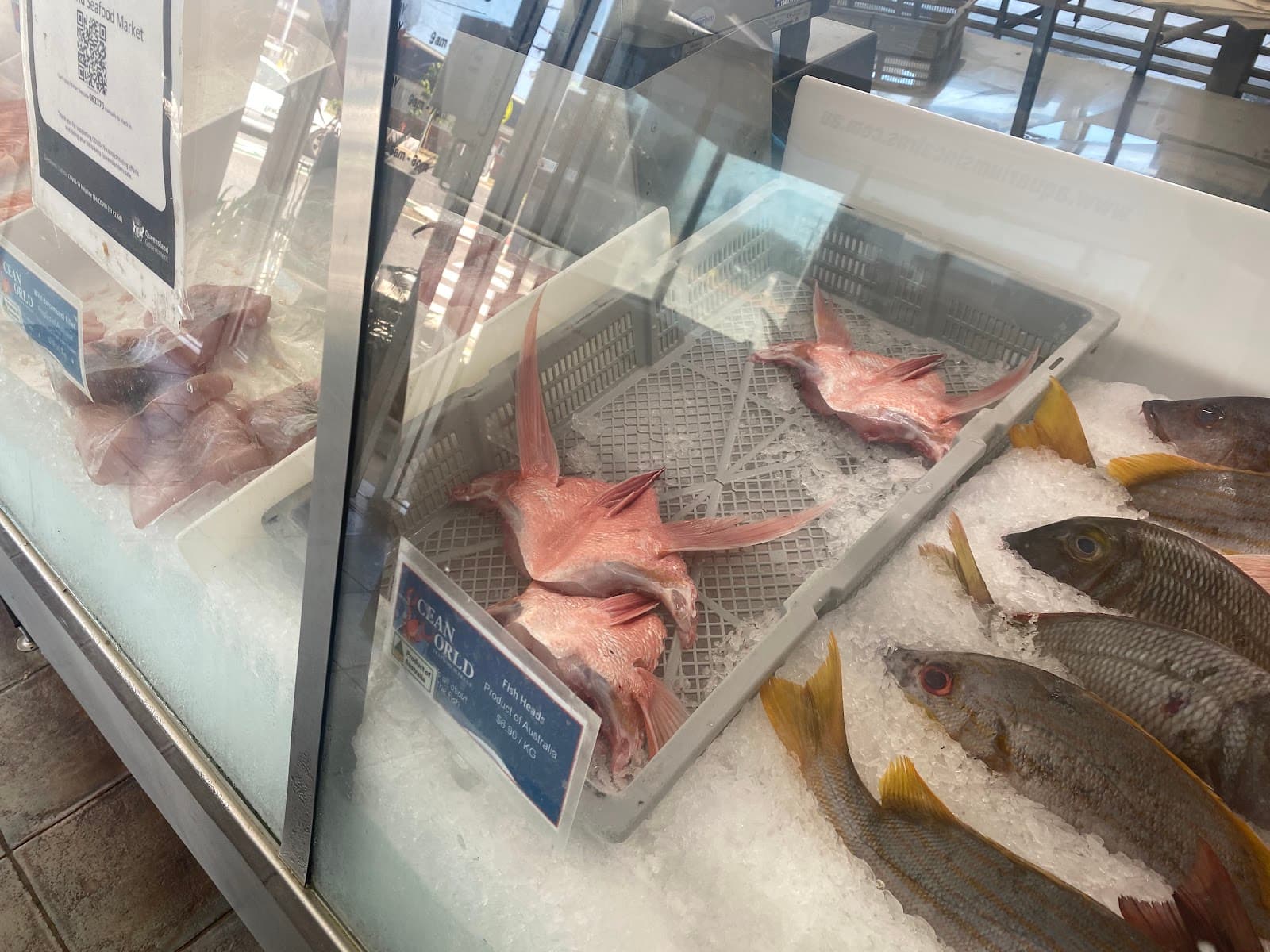 Ocean World Seafood Market — Cairns North, Cairns