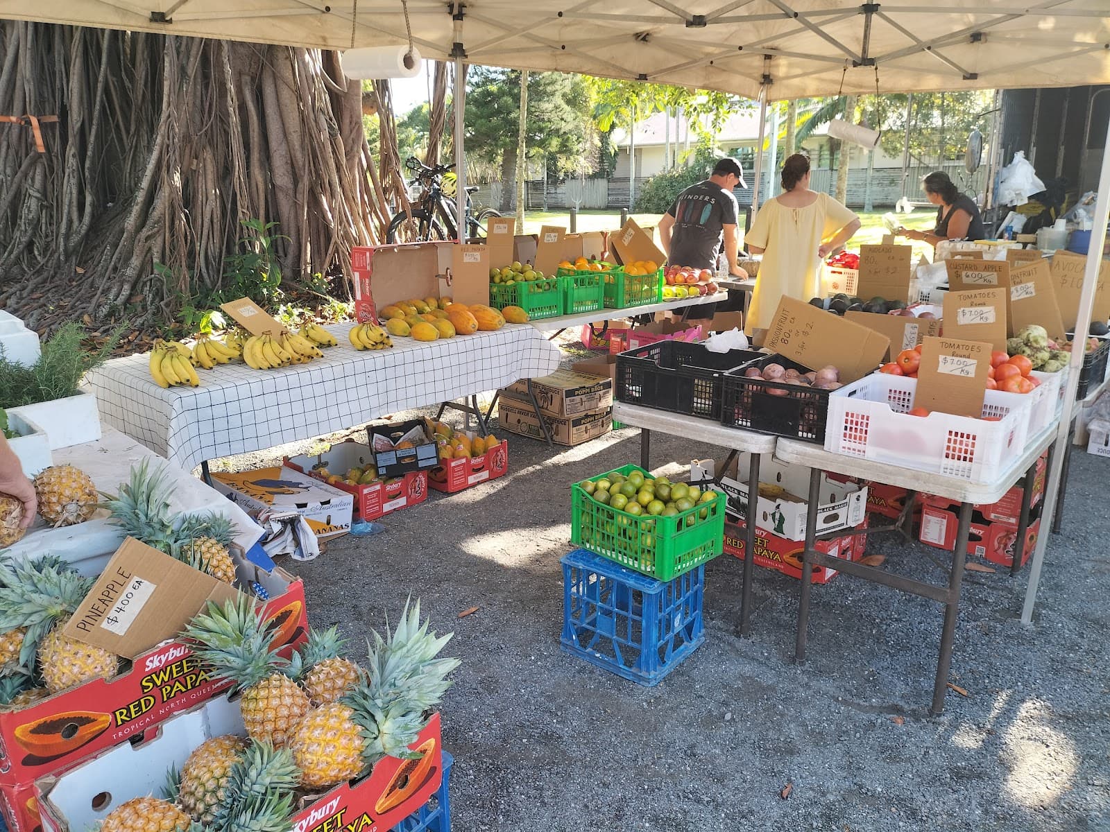 Port Douglas Markets — Port Douglas, Cairns