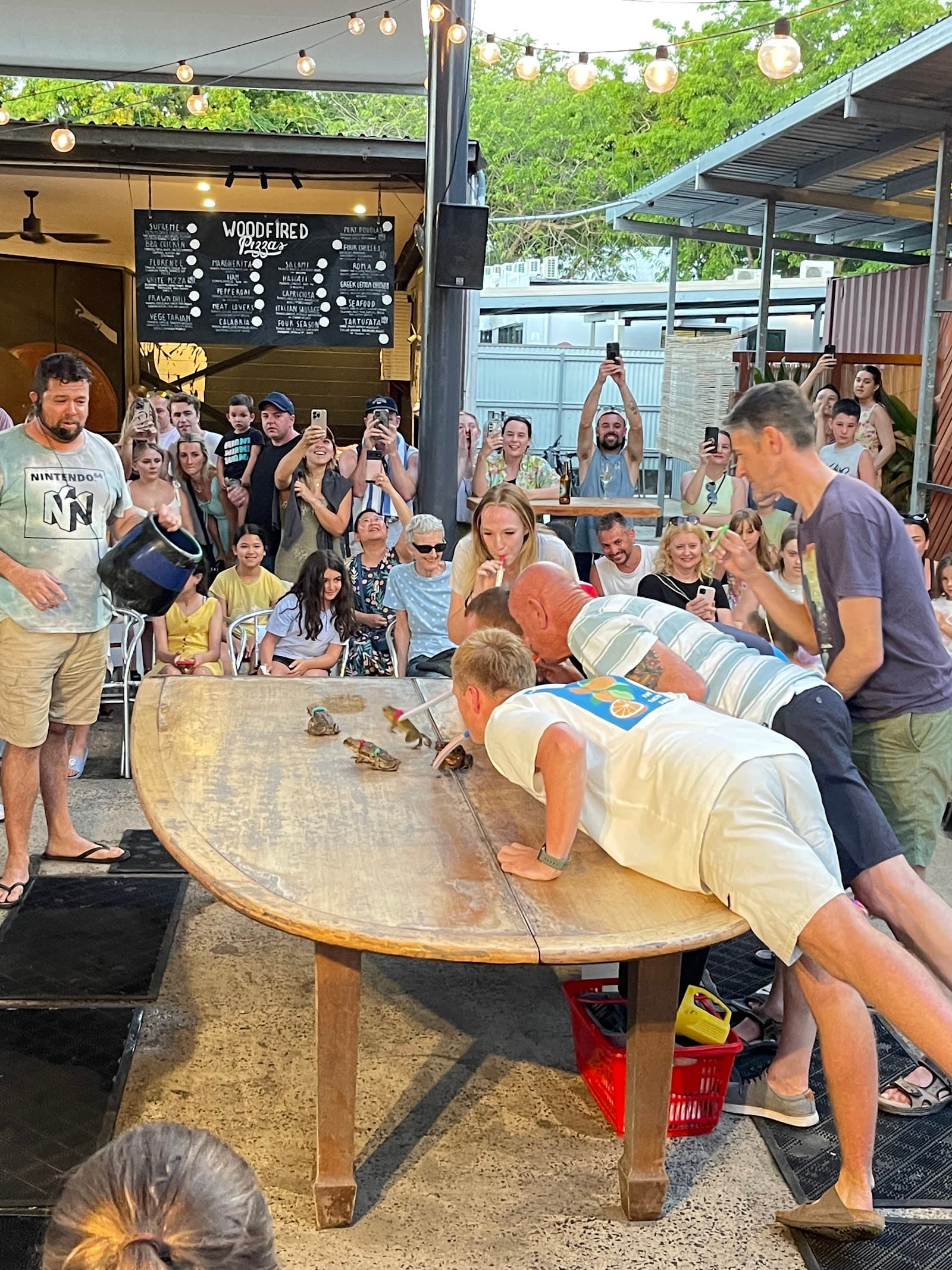 Cane Toad Racing — Port Douglas, Cairns
