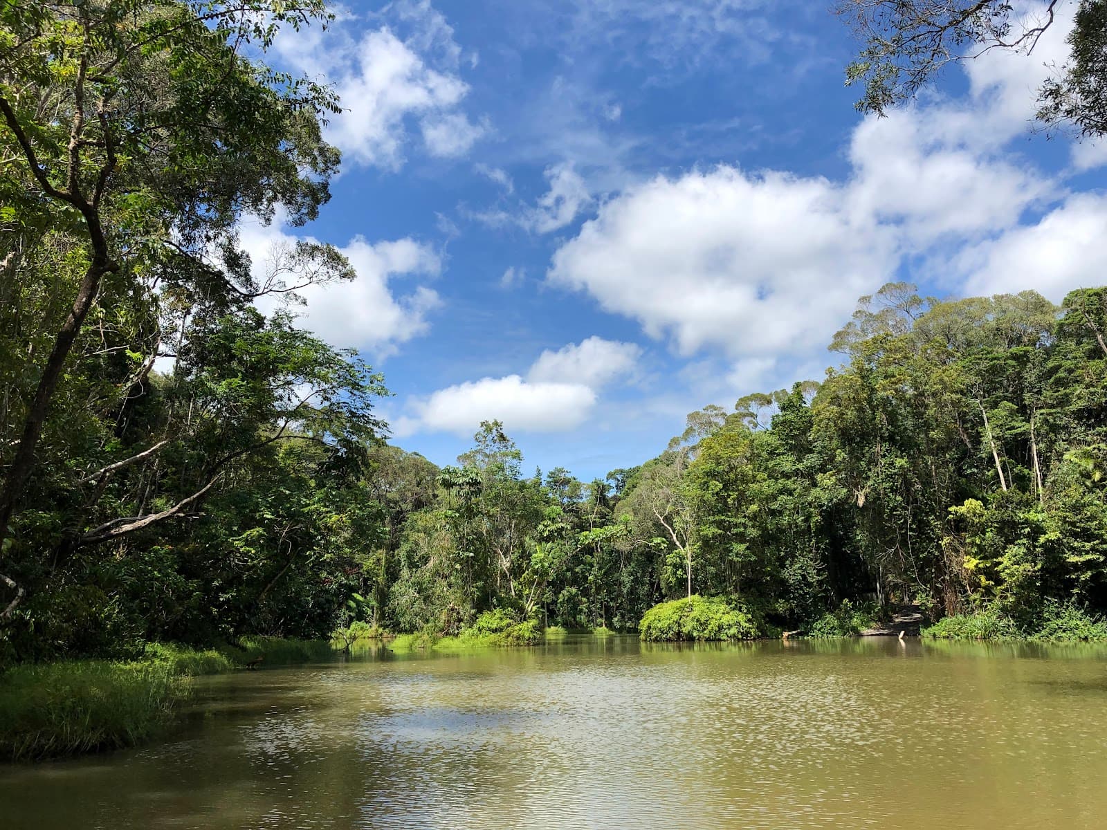 Kuranda Amphitheatre — Kuranda, Cairns