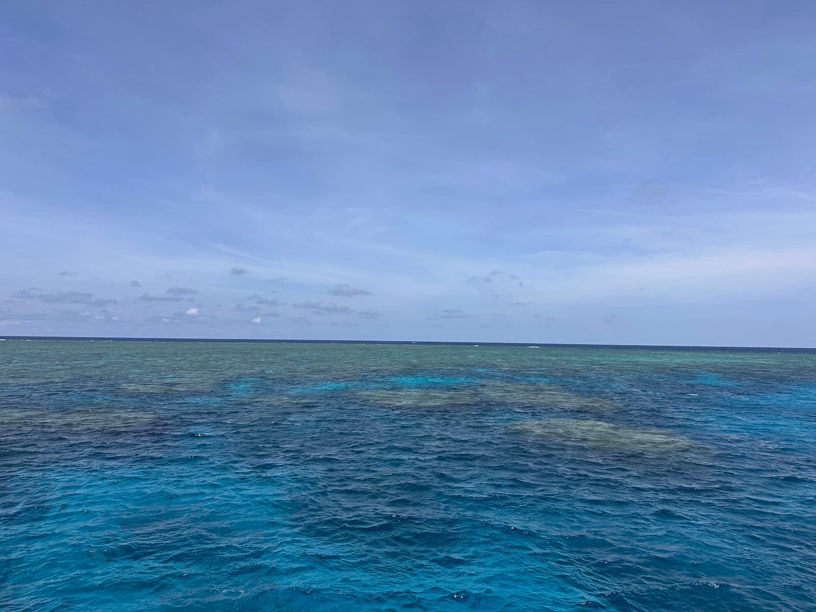 Silverswift Dive and Snorkel Adventures — Holloways Beach, Cairns
