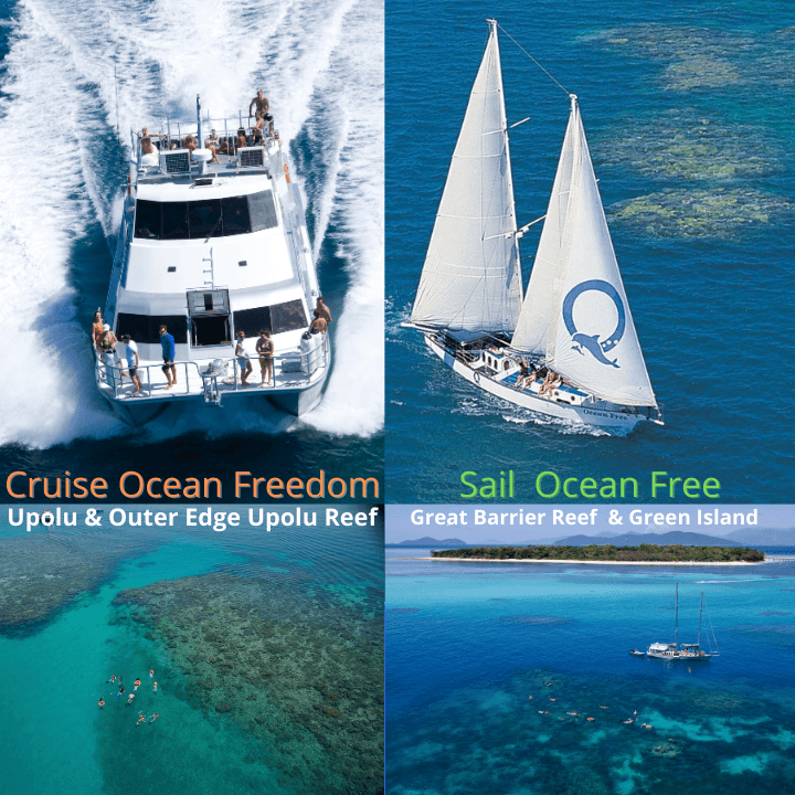 Ocean Free & Ocean Freedom - Cairns Premier Great Barrier Reef & Island Tours — Holloways Beach, Cairns