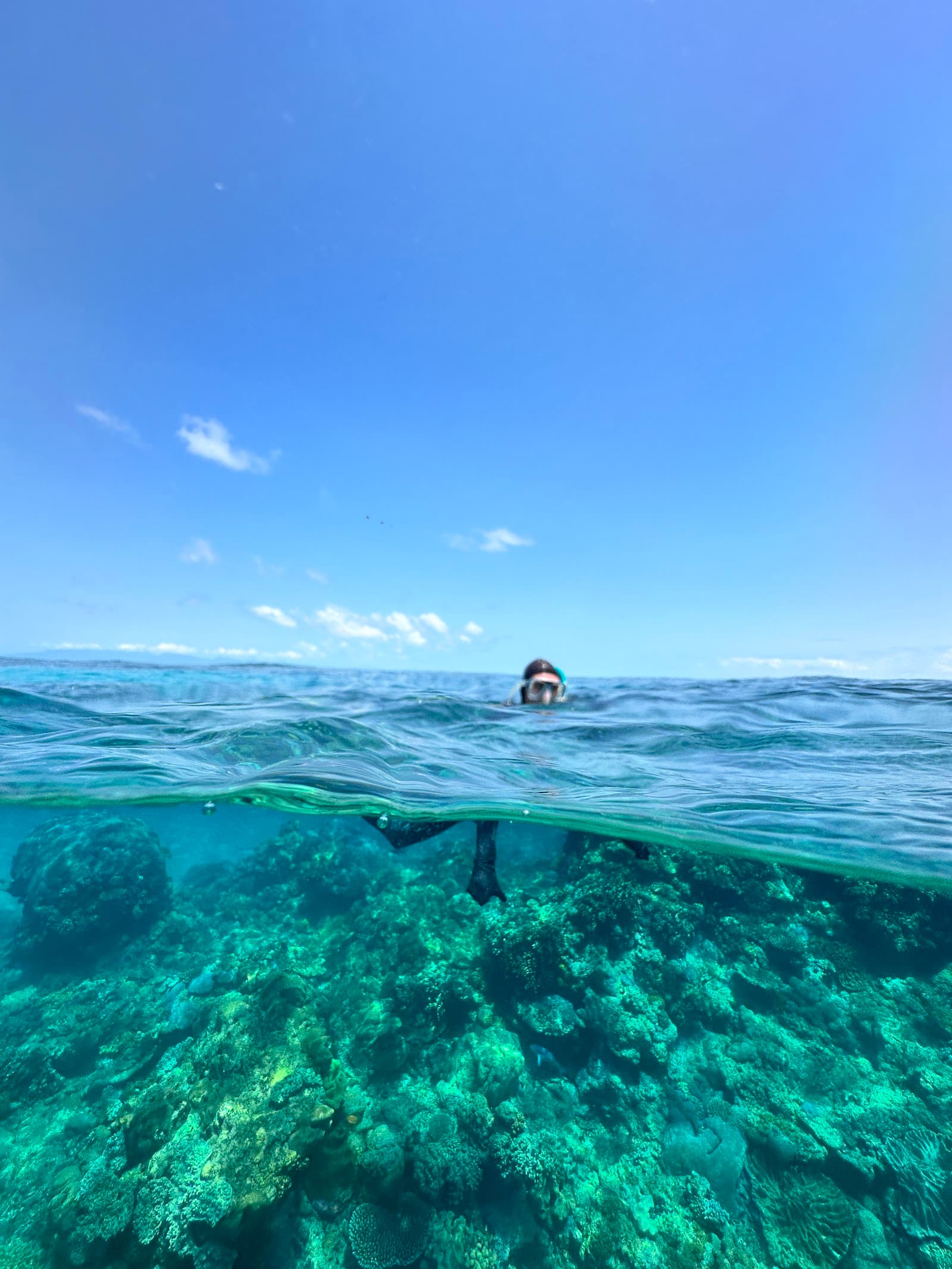 Wavelength Reef Cruises — Port Douglas, Cairns