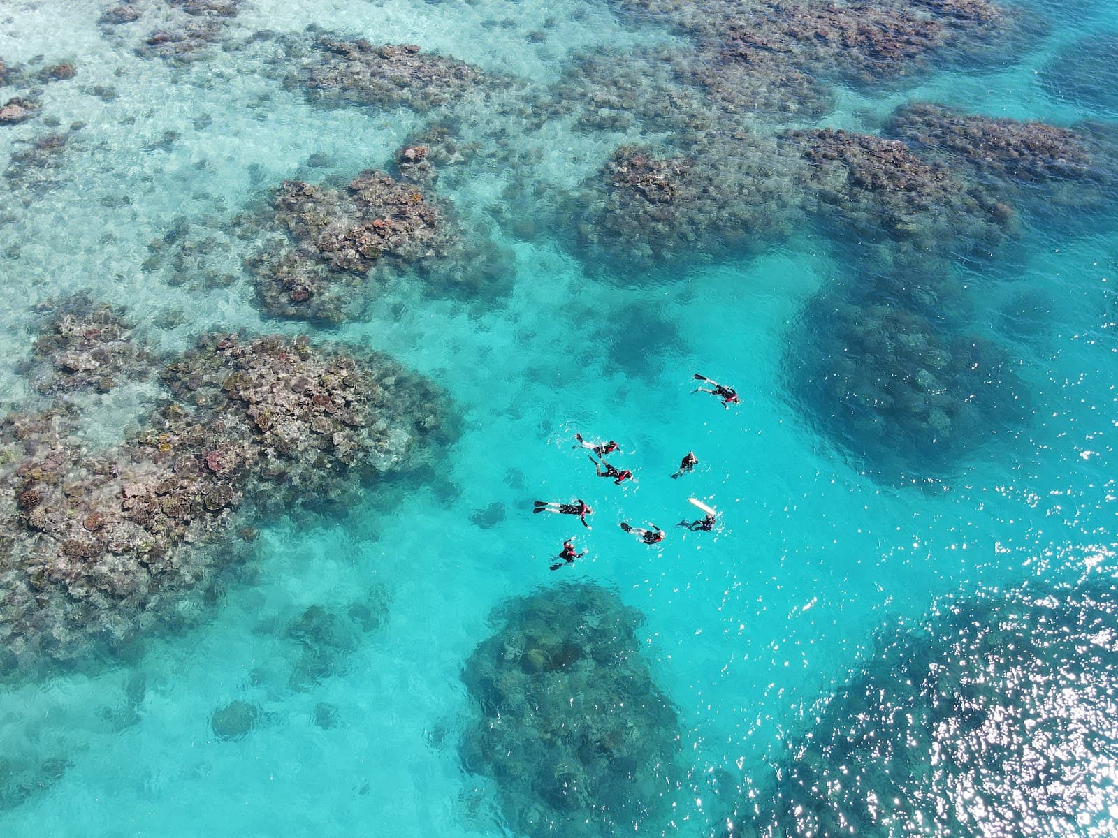 ABC Reef Safaris — Port Douglas, Cairns
