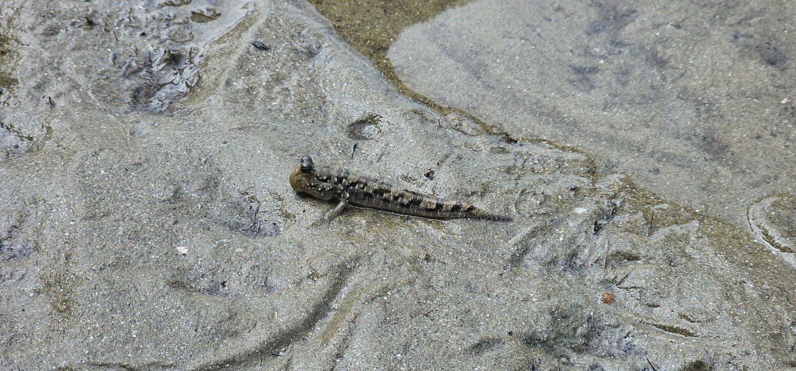 Yule Point — Port Douglas, Cairns