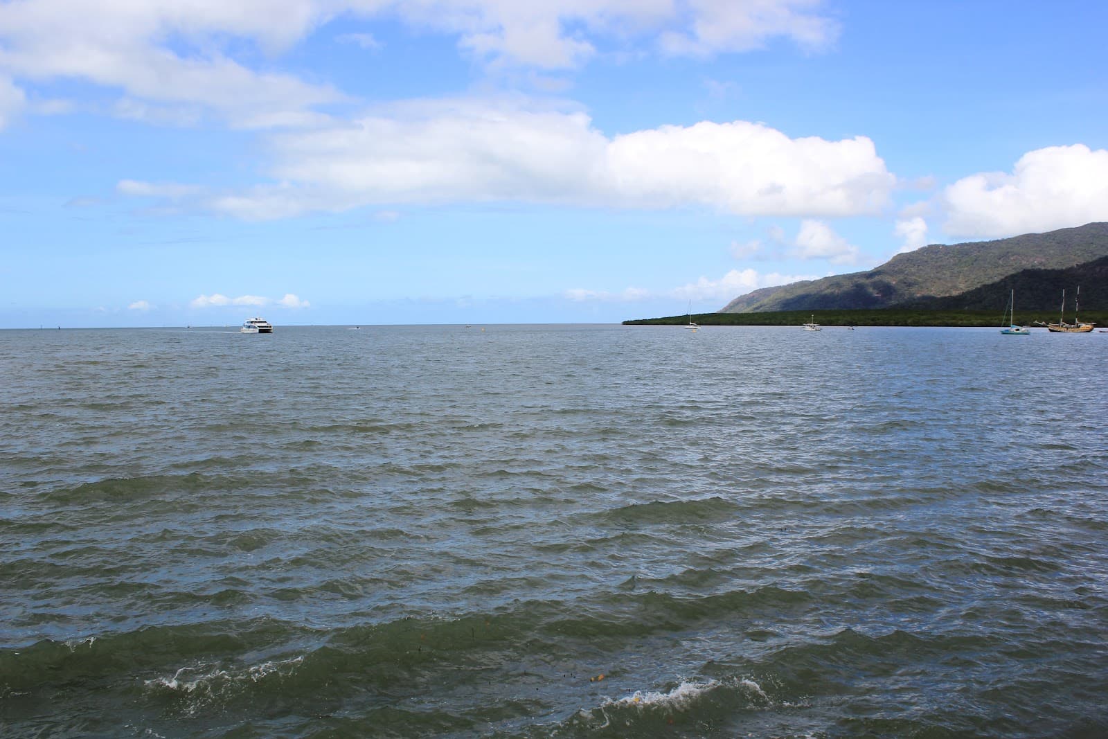 Big Fish Down Under — Yorkeys Knob, Cairns