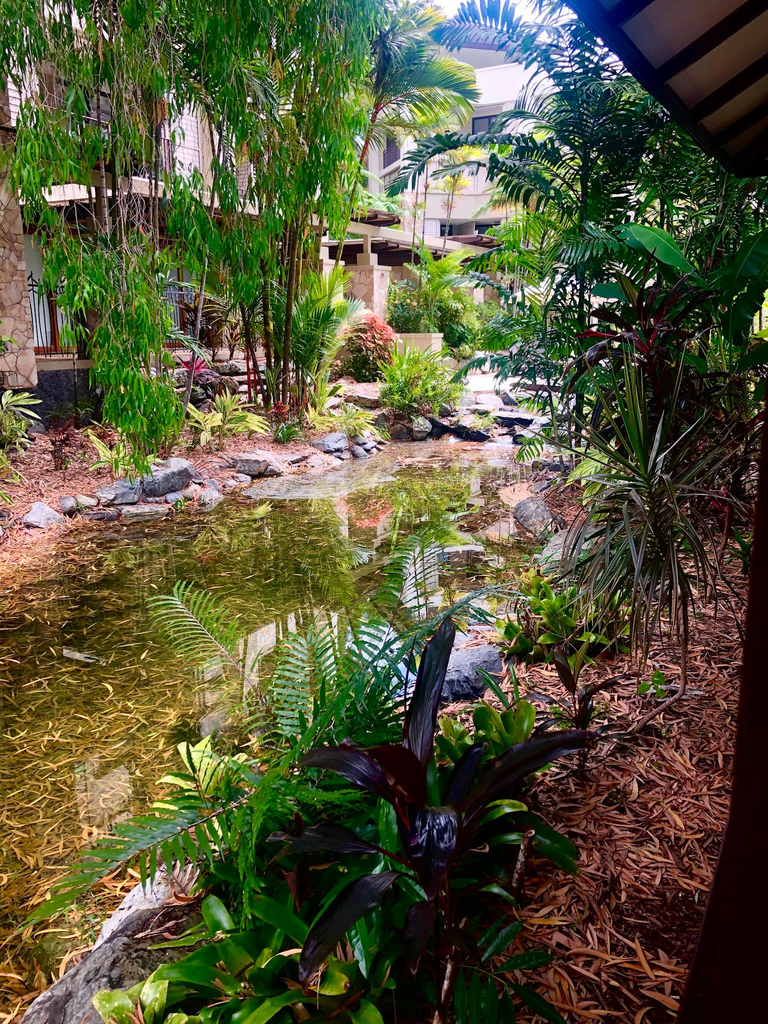 Vie Spa Palm Cove — Yorkeys Knob, Cairns