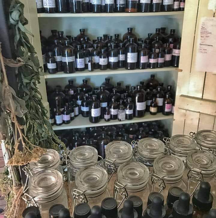 Fine and Dandy Herbal Apothecary — Trinity Beach, Cairns