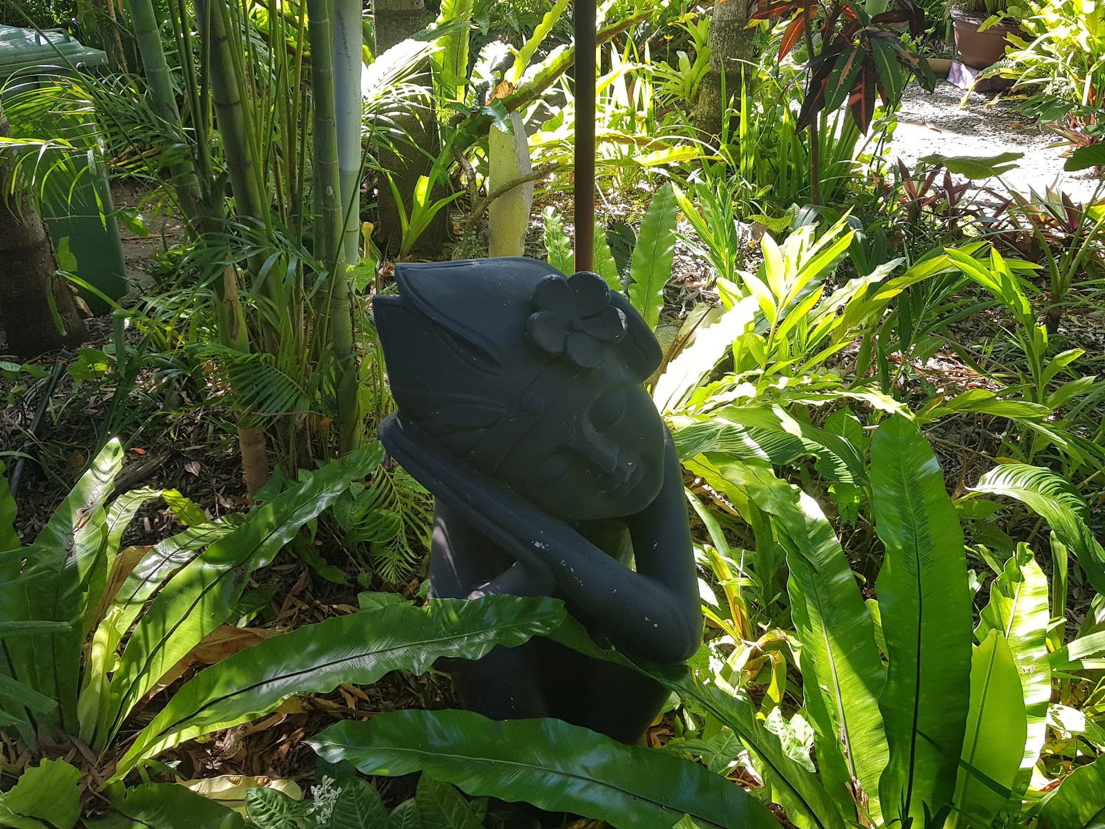 Align Therapies & Training - Massage Clinic — Holloways Beach, Cairns