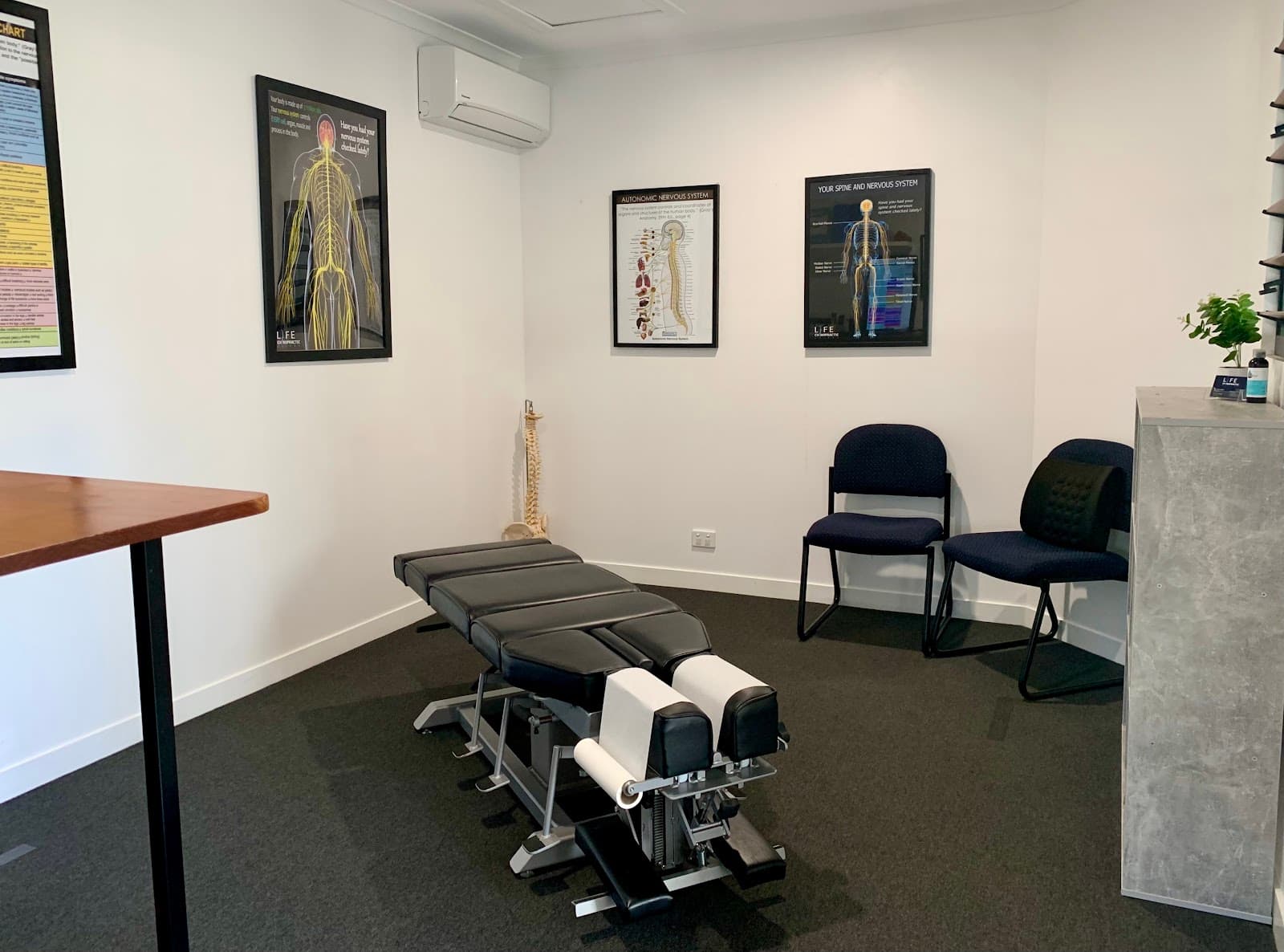 Life Chiropractic Cairns — Smithfield, Cairns