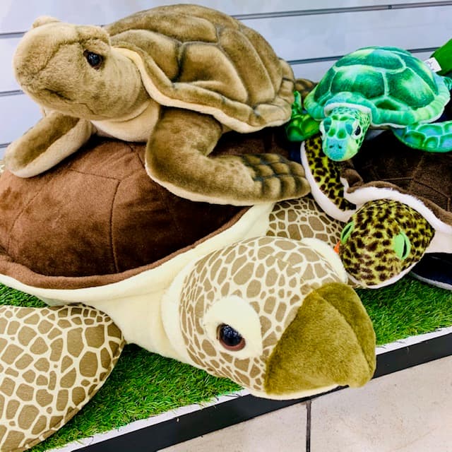 OK Gift Shop — Cairns North, Cairns