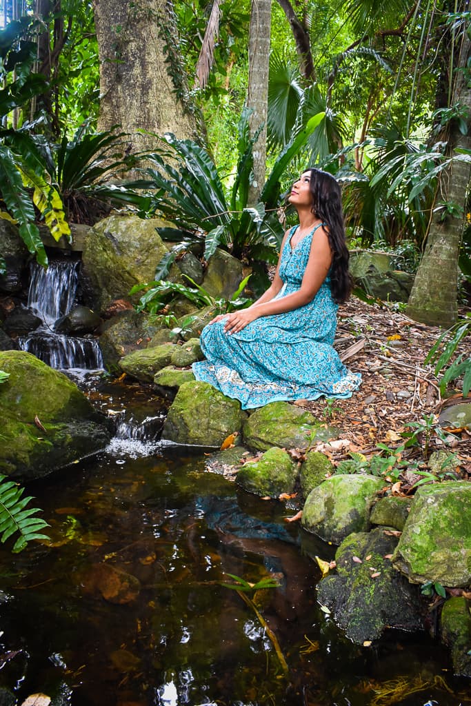 Zaphire — Kuranda, Cairns