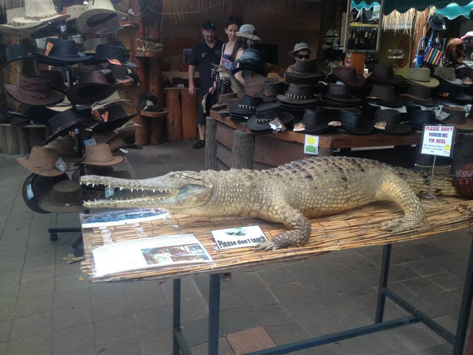 Coral Coast Leather — Kuranda, Cairns