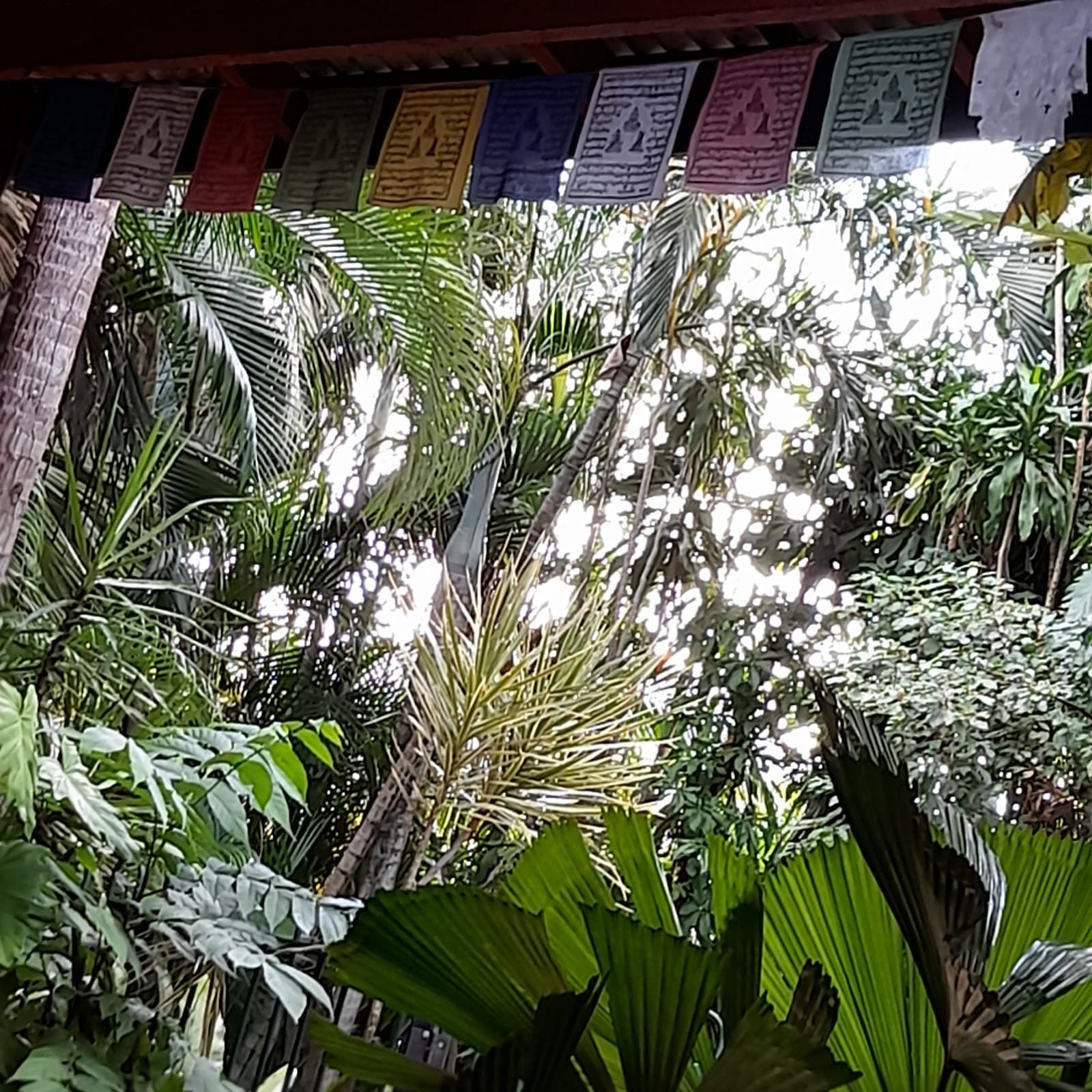 Dreamtime Hostel — Edge Hill, Cairns