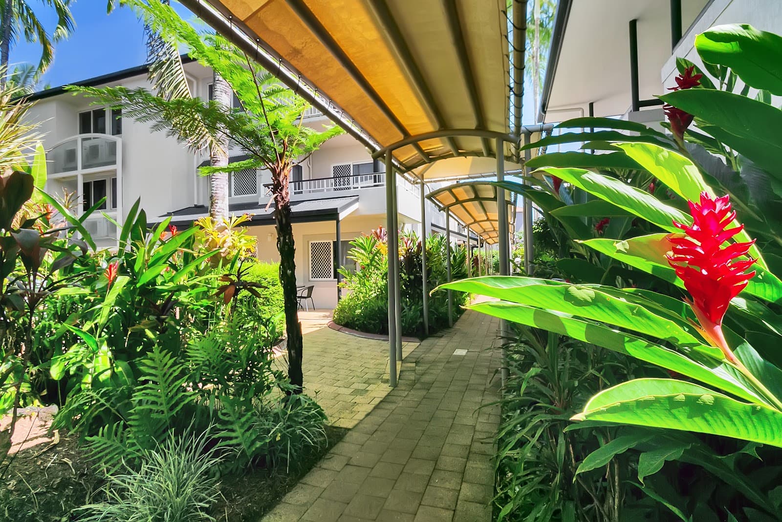 Cairns Reef Apartments & Motel Accommodation — Port Douglas, Cairns