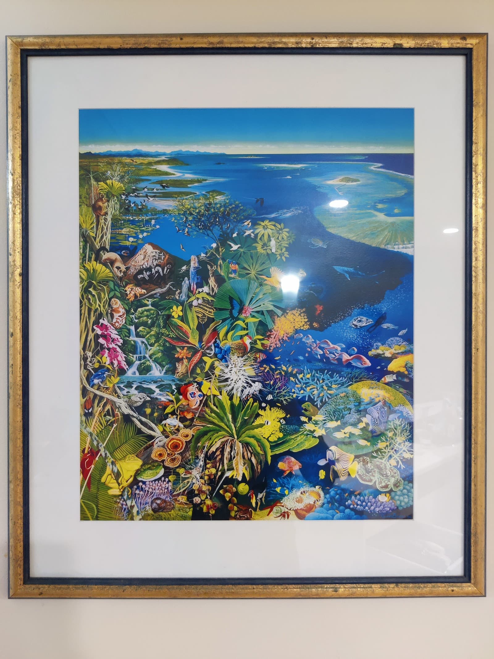 Mediterranean Beachfront Apartments — Yorkeys Knob, Cairns