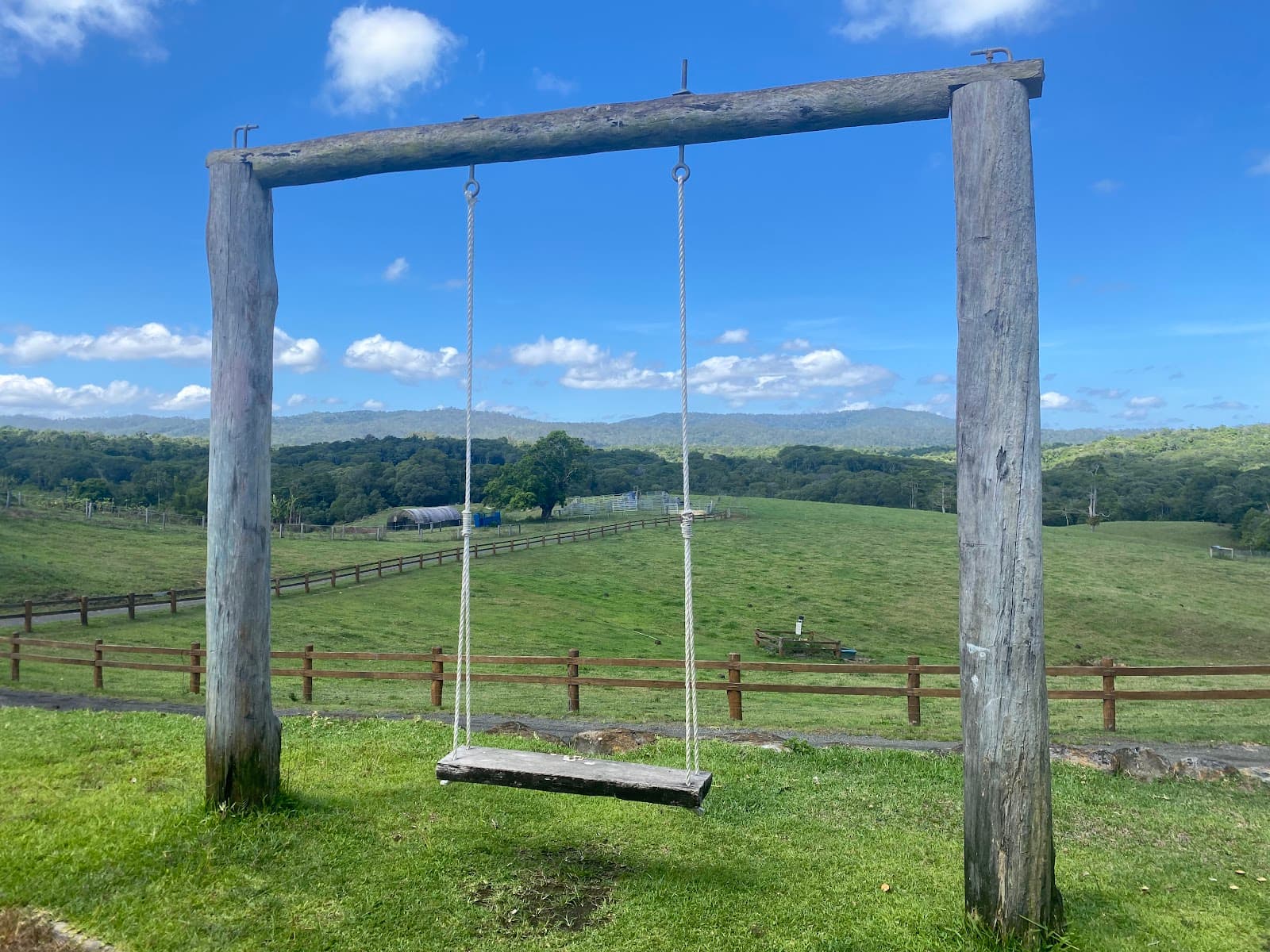 KUR-Cow Barnwell Farm — Kuranda, Cairns