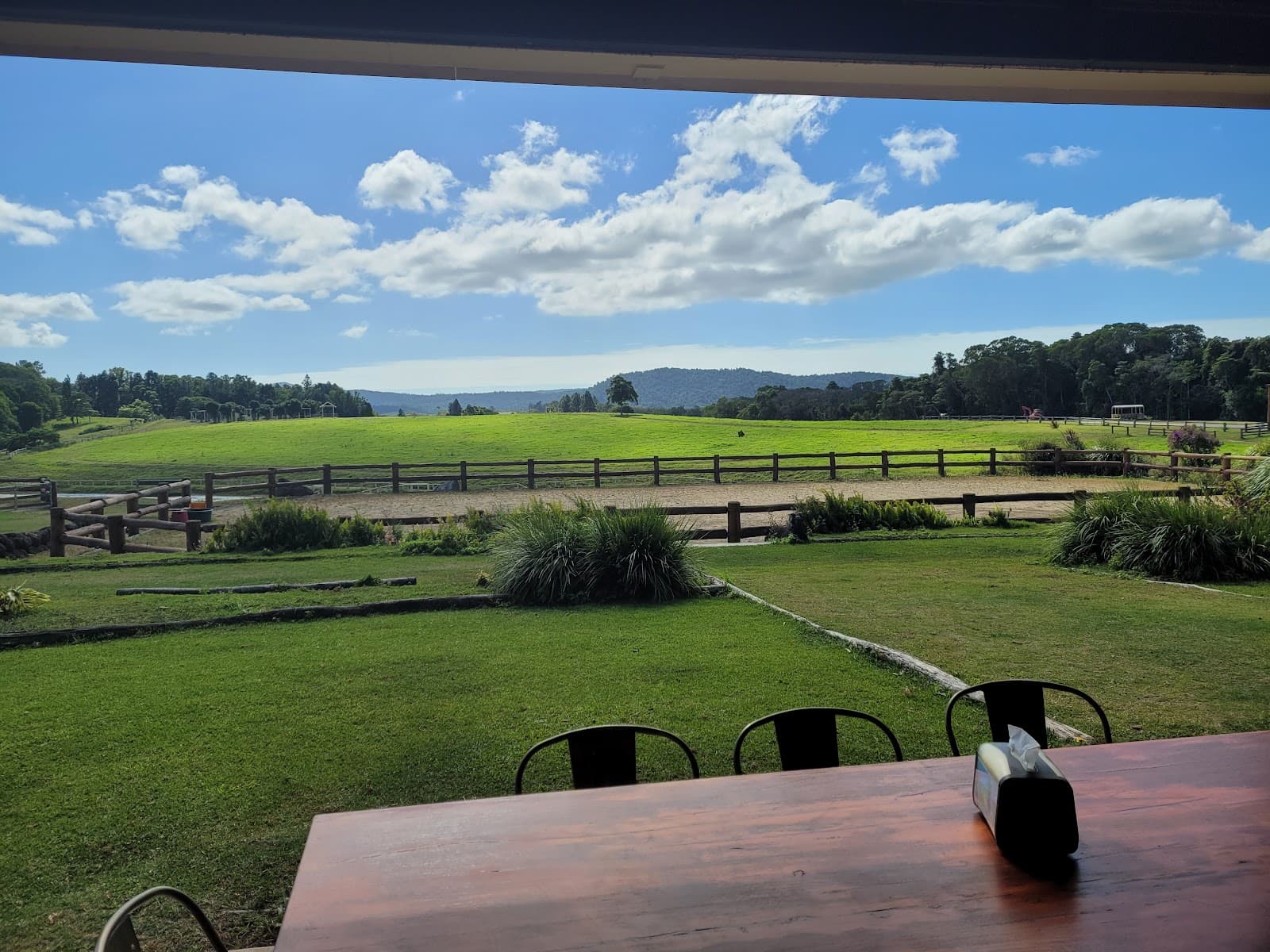 KUR-Cow Barnwell Farm — Kuranda, Cairns