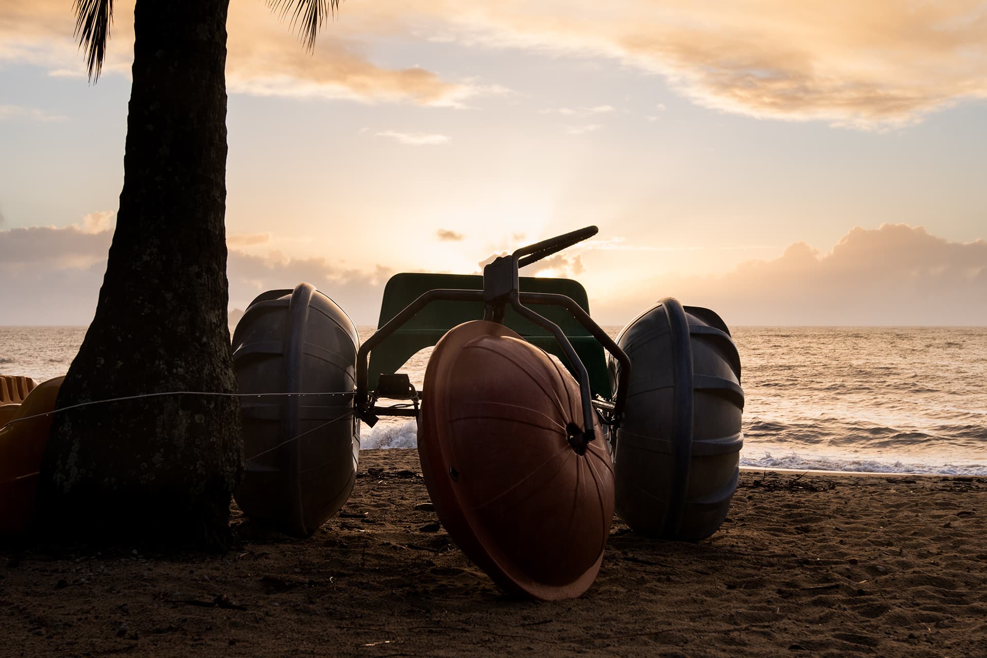 Vivo Palm Cove