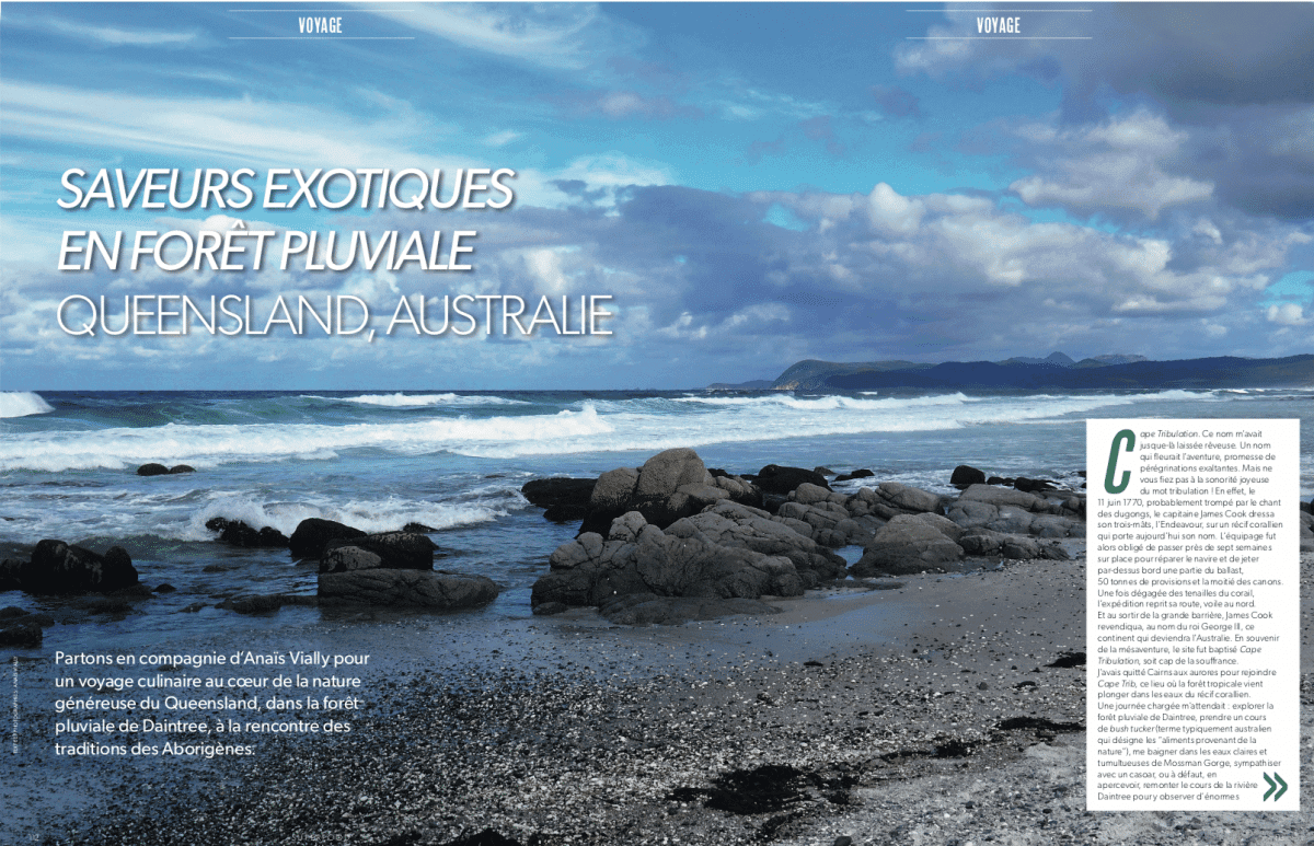 Daintree Ice Cream Company