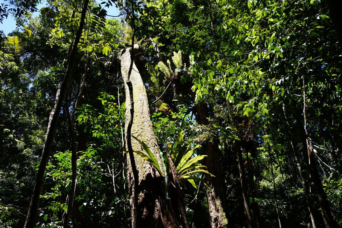 Jumrum Creek Conservation Park