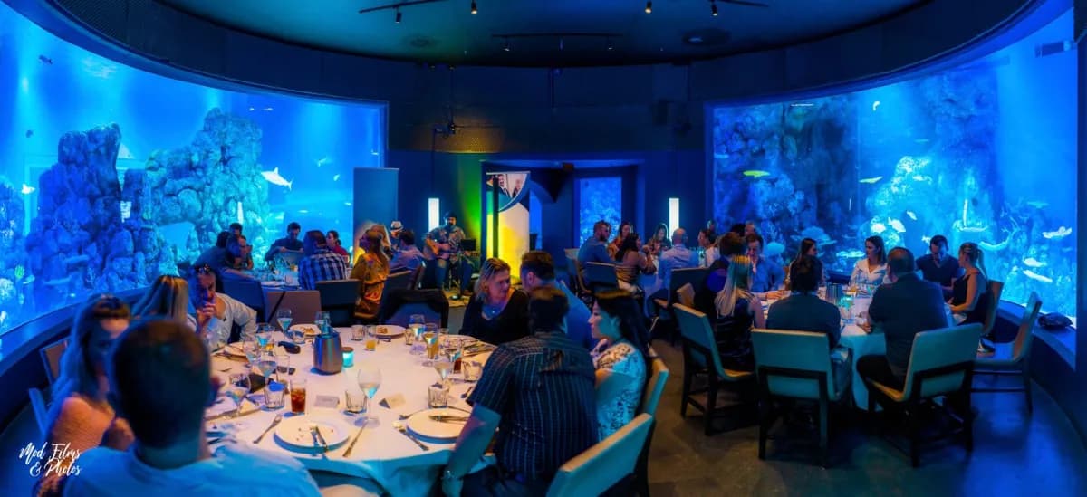 Cairns Aquarium