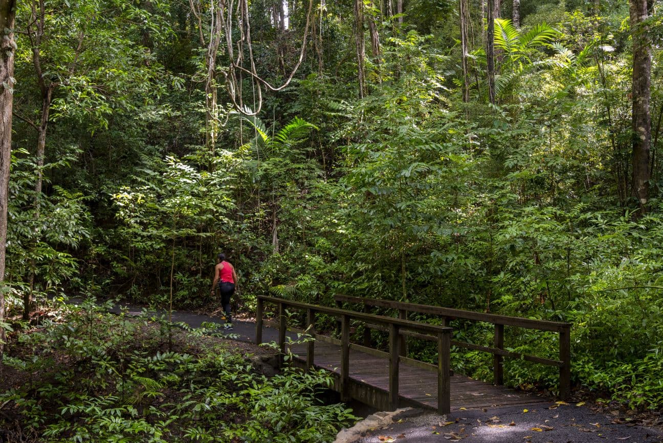 Mount Whitfield Conservation Park