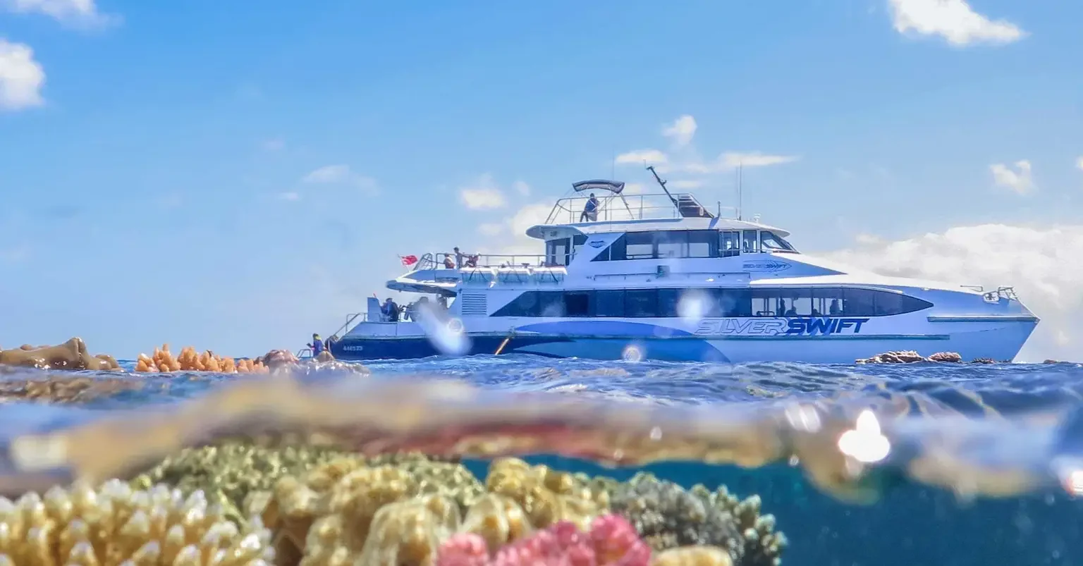Silverswift Dive and Snorkel Adventures