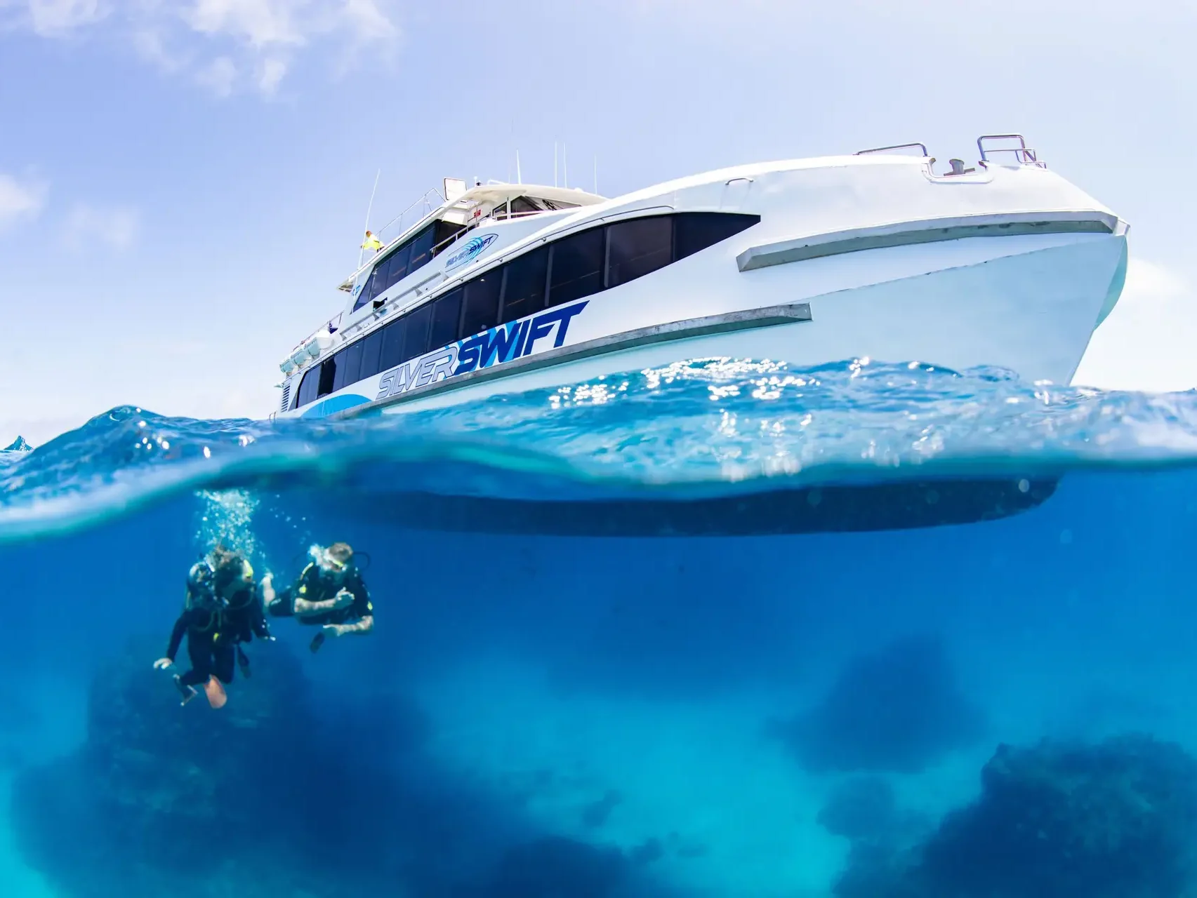Silverswift Dive and Snorkel Adventures