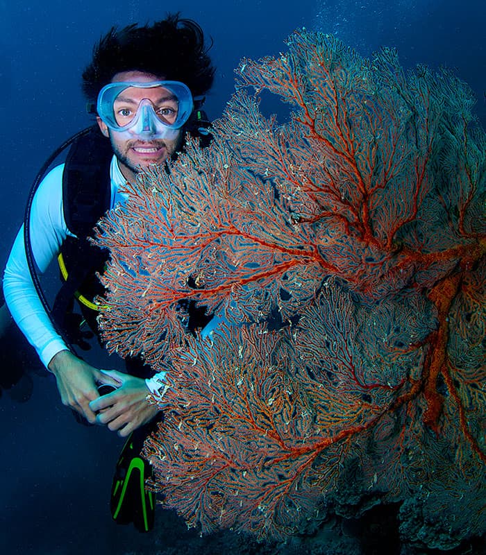 ABC Reef Safaris