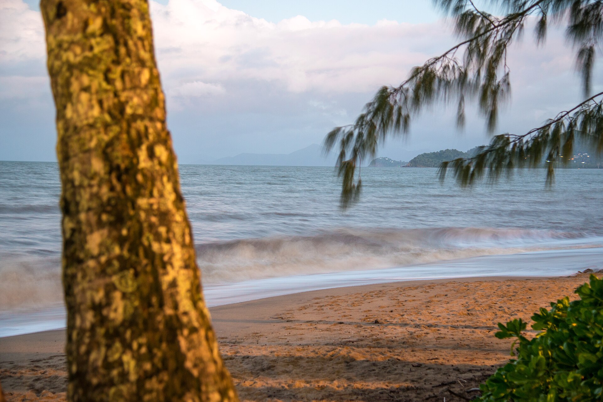 Palm Cove